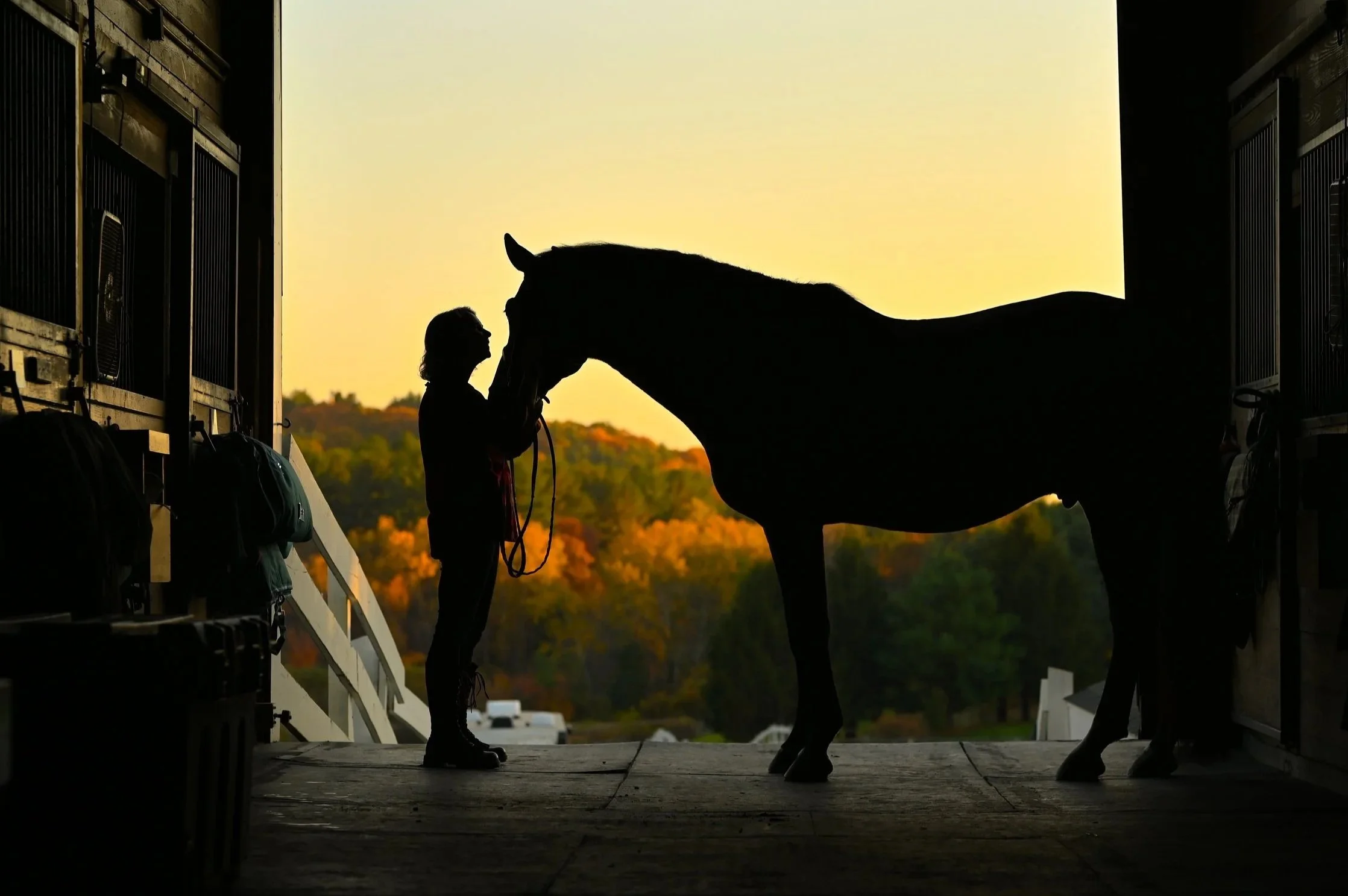 Meditate to Connect for Humans and Horses