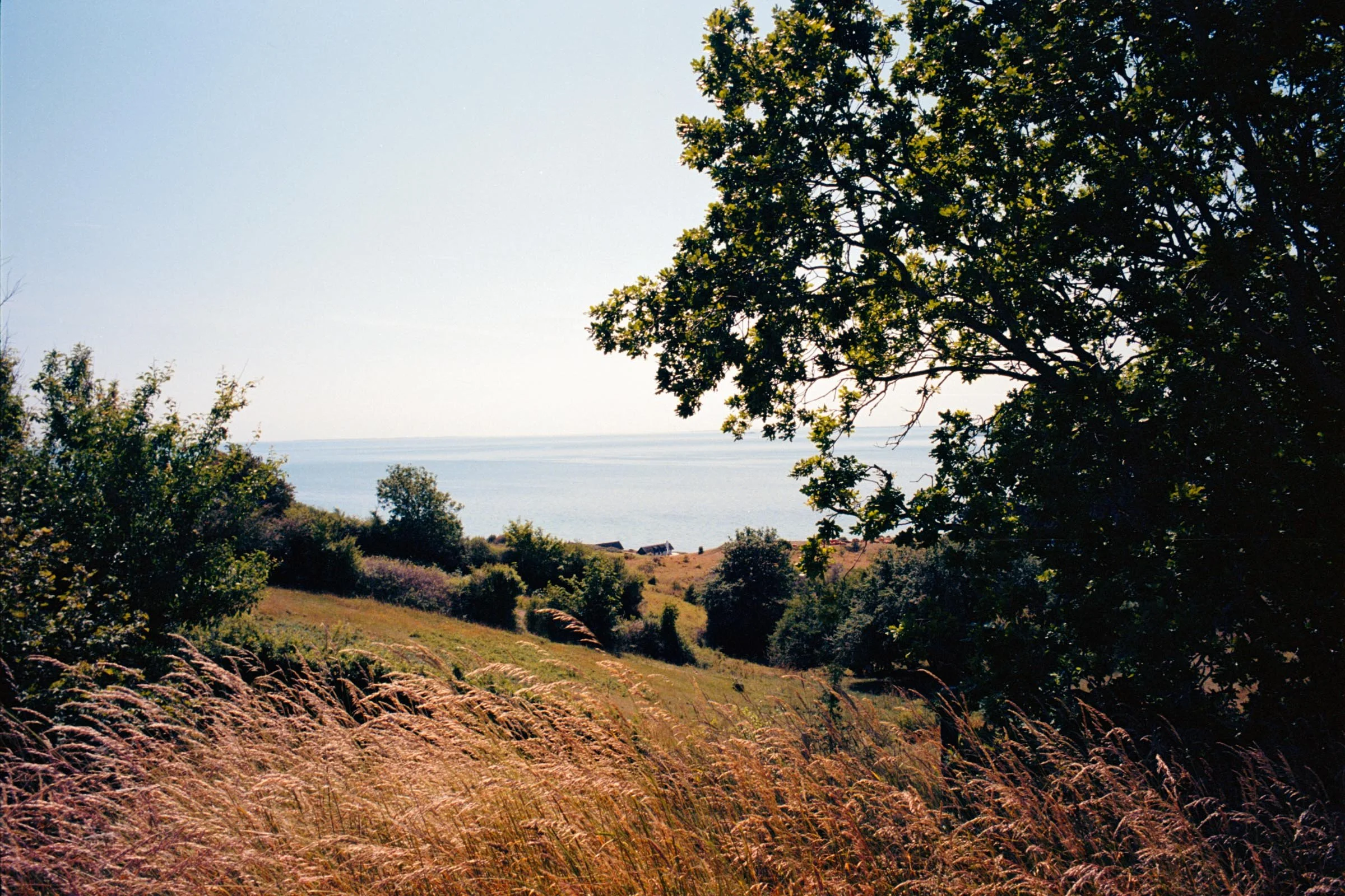 Image (26)-3.jpg