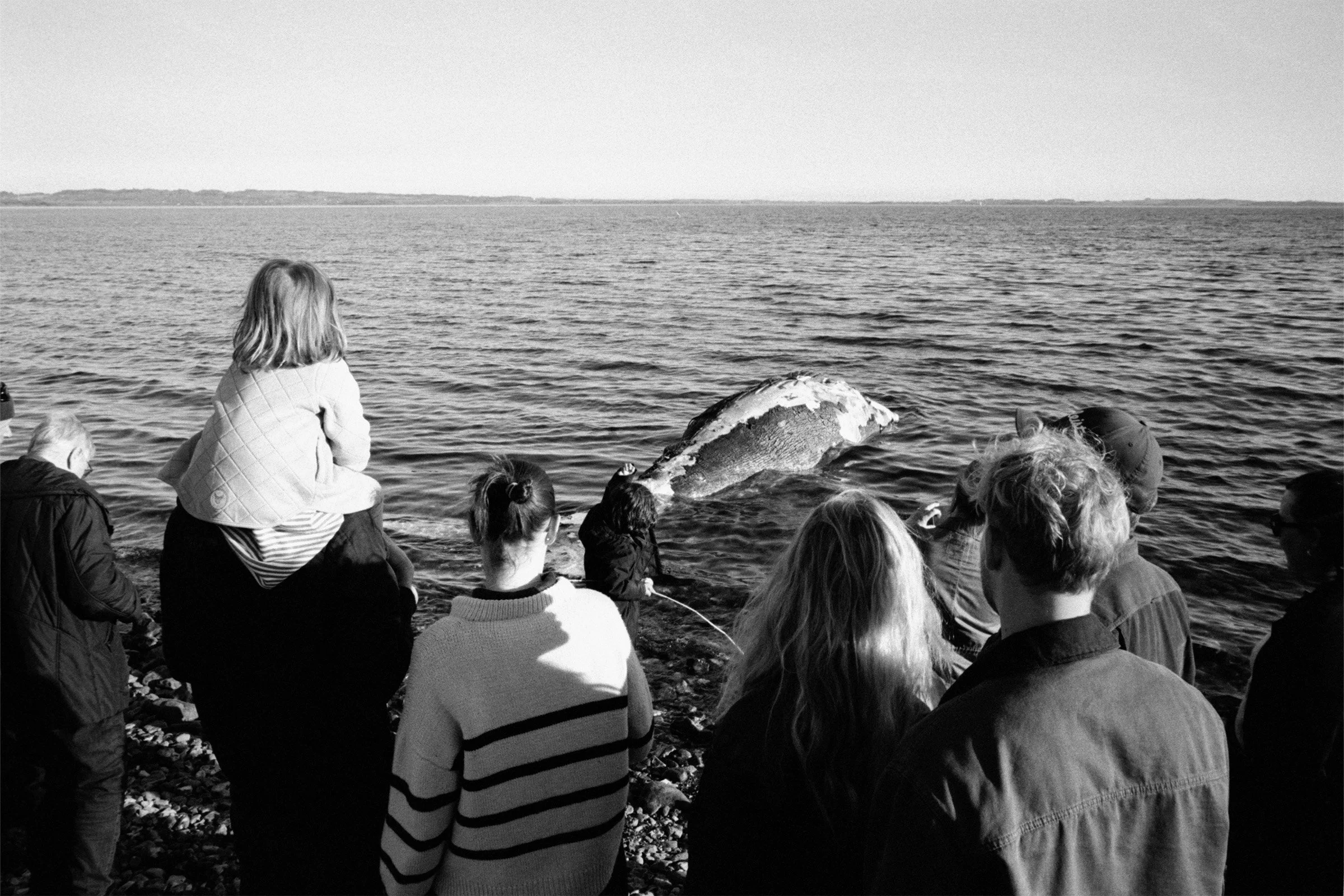 bw68.jpg