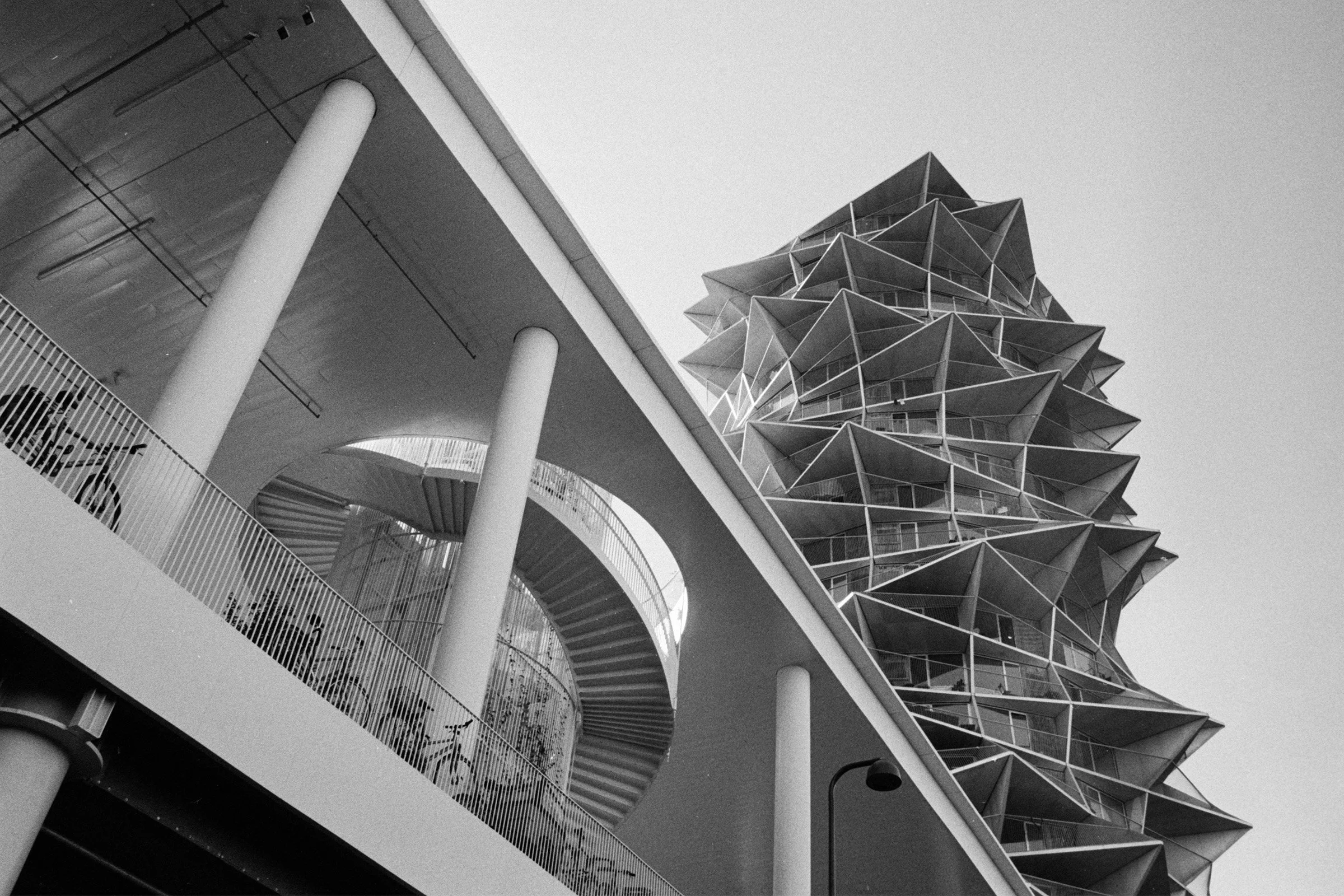 bw74.jpg