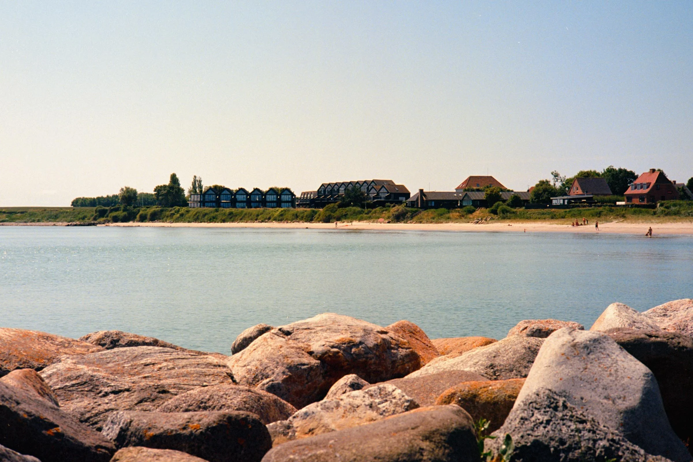 Image (11)-3.jpg