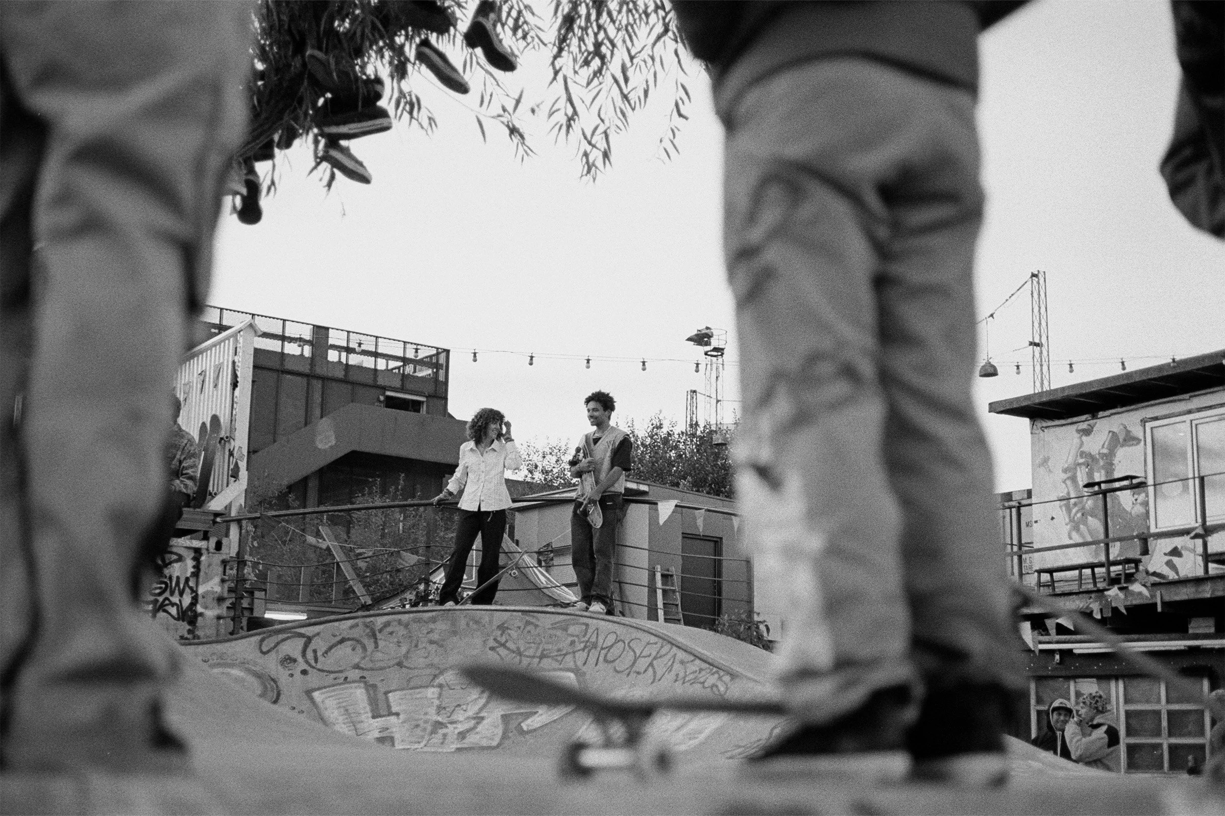 bw113.jpg
