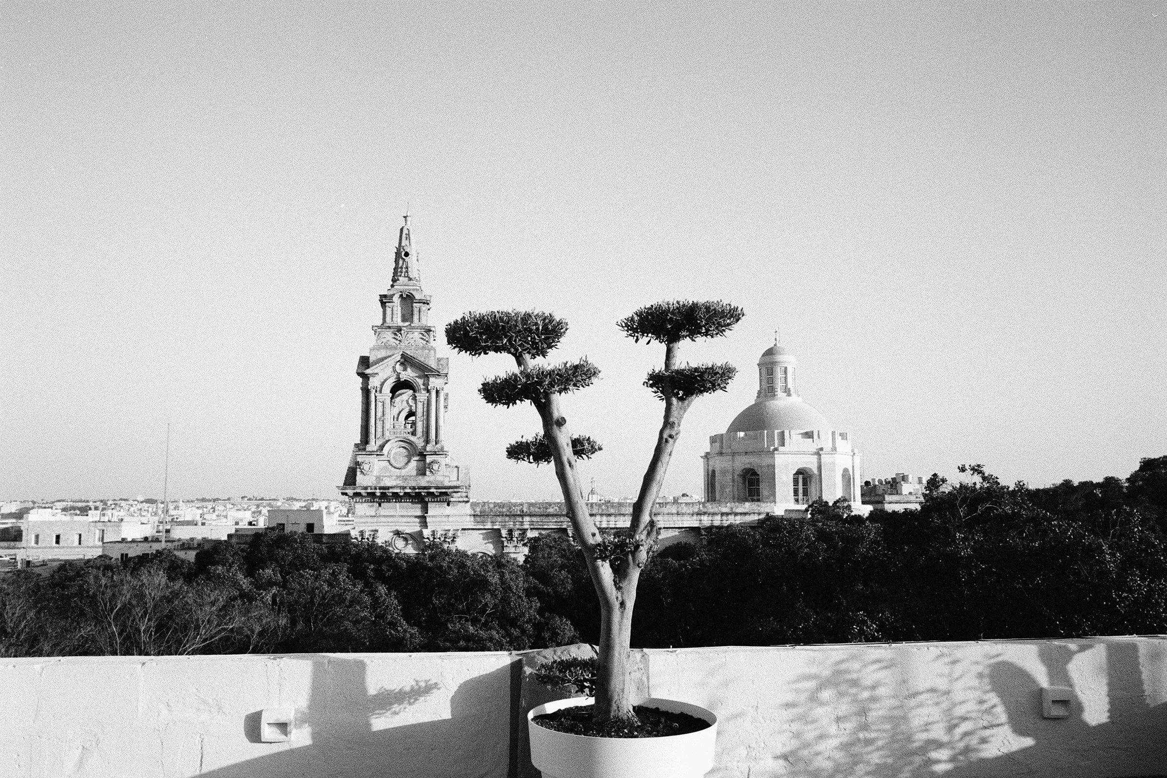 bw65.jpg