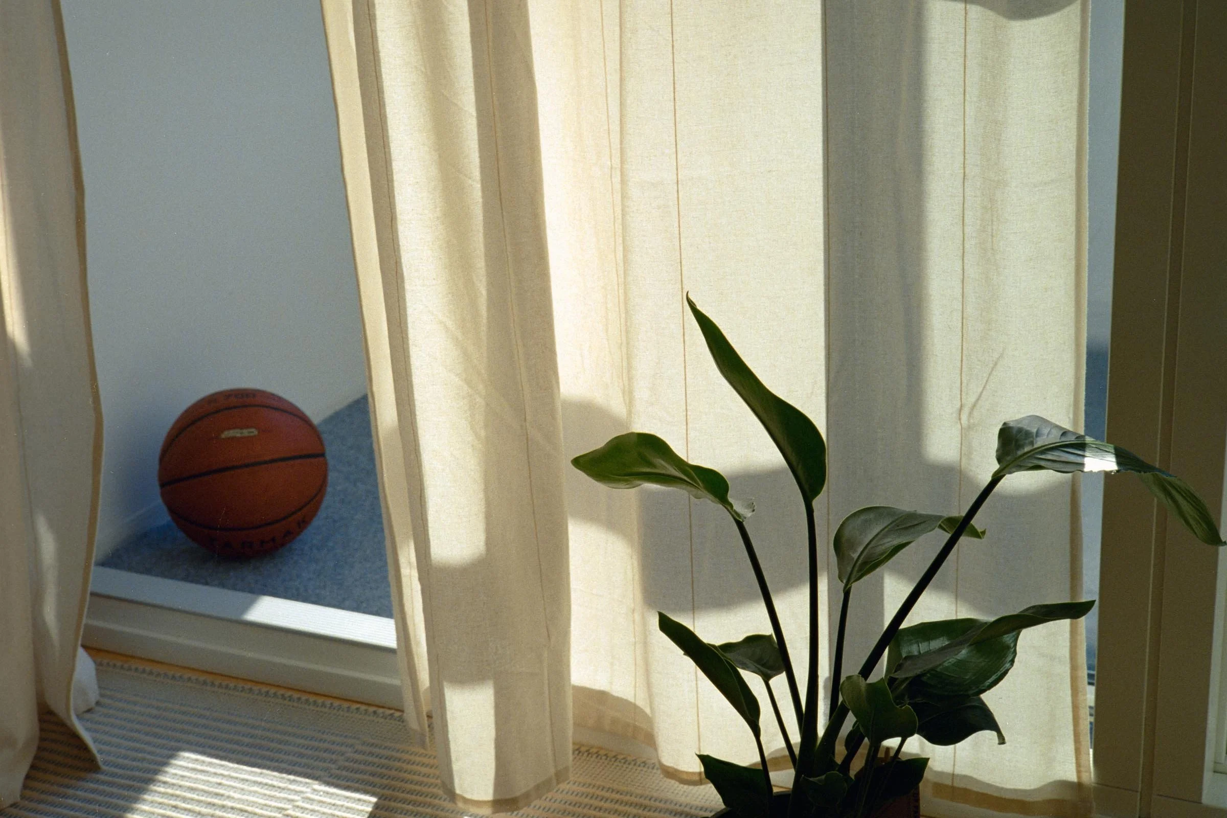Image (11).jpg
