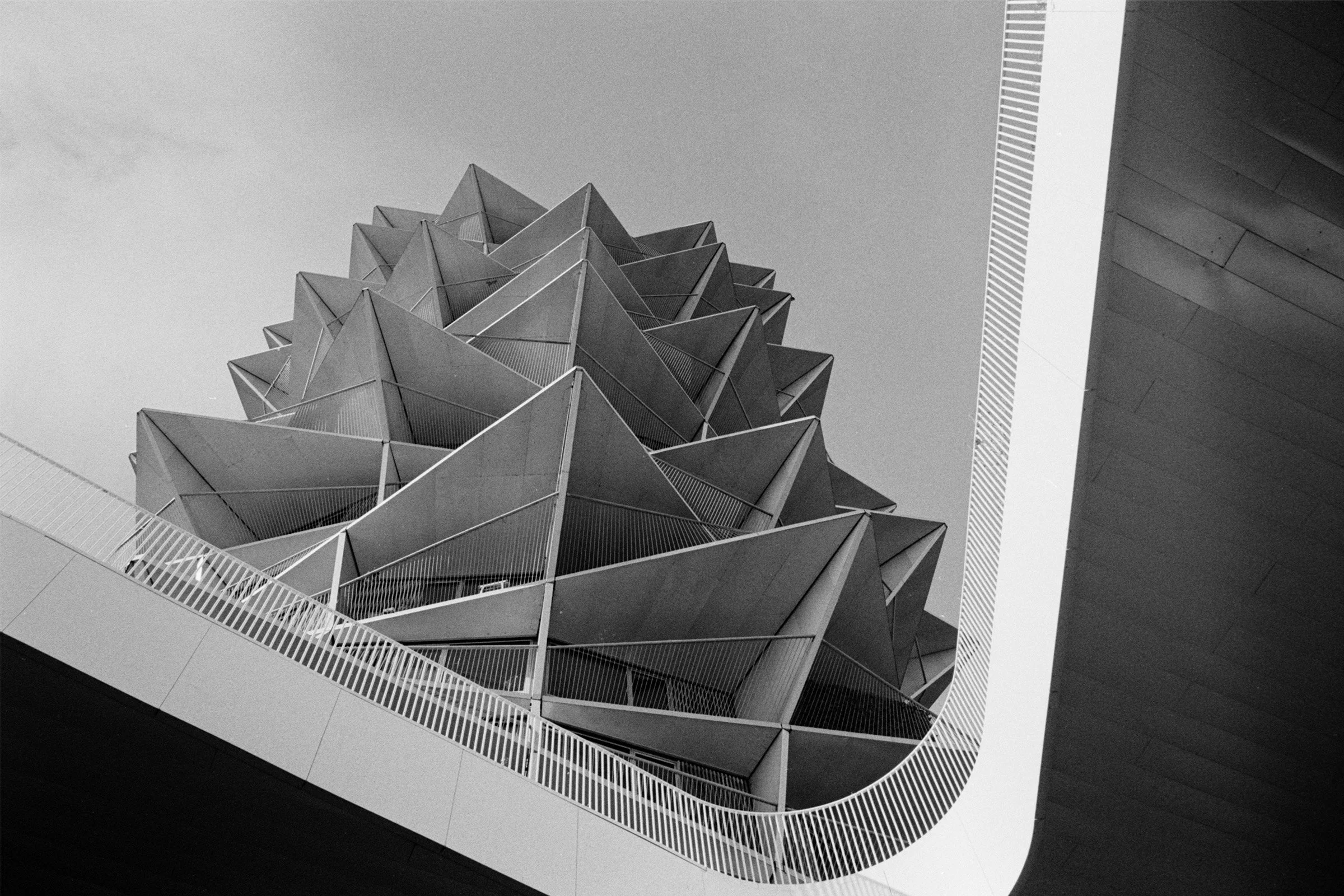bw79.jpg
