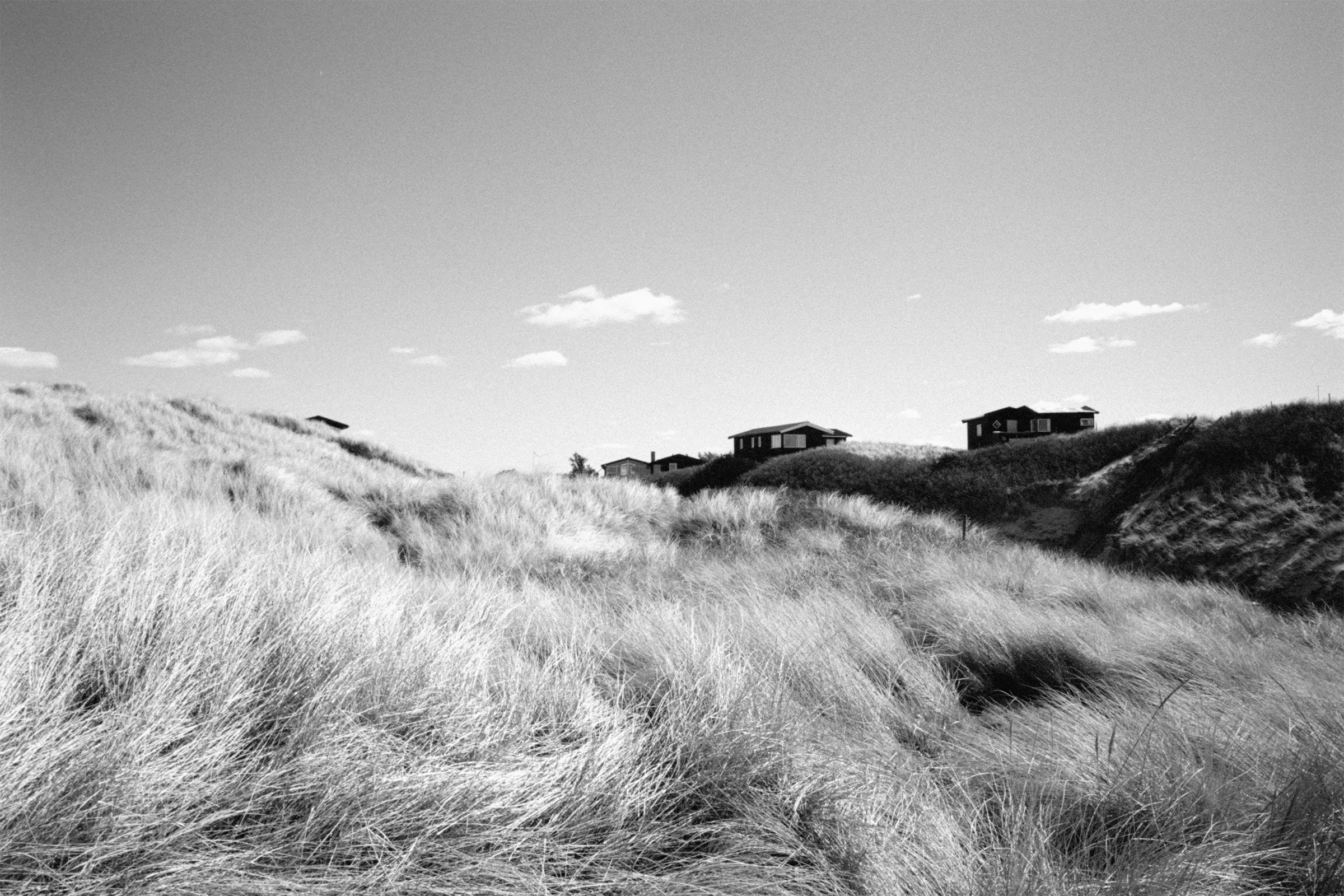 bw67.jpg