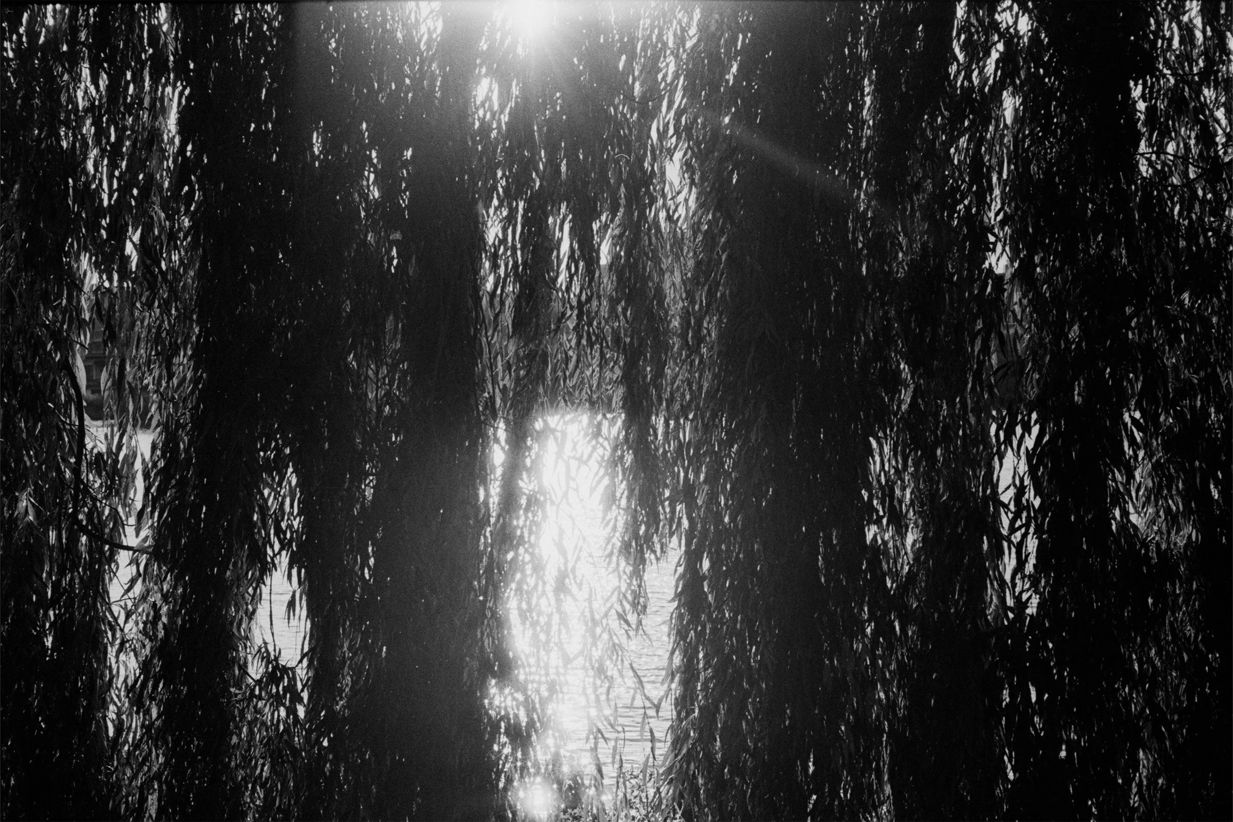 bw80.jpg