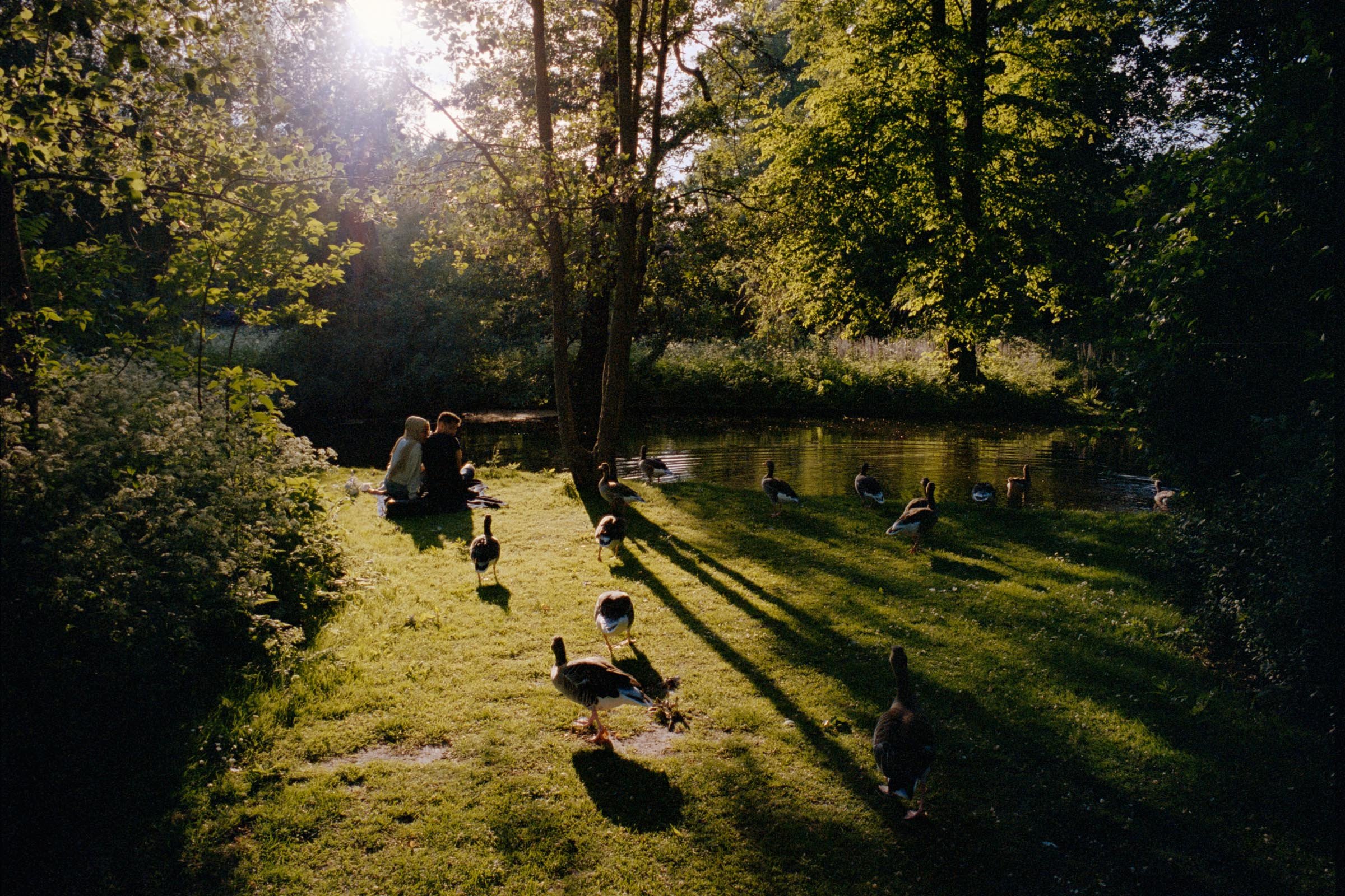 0937 (15).jpg