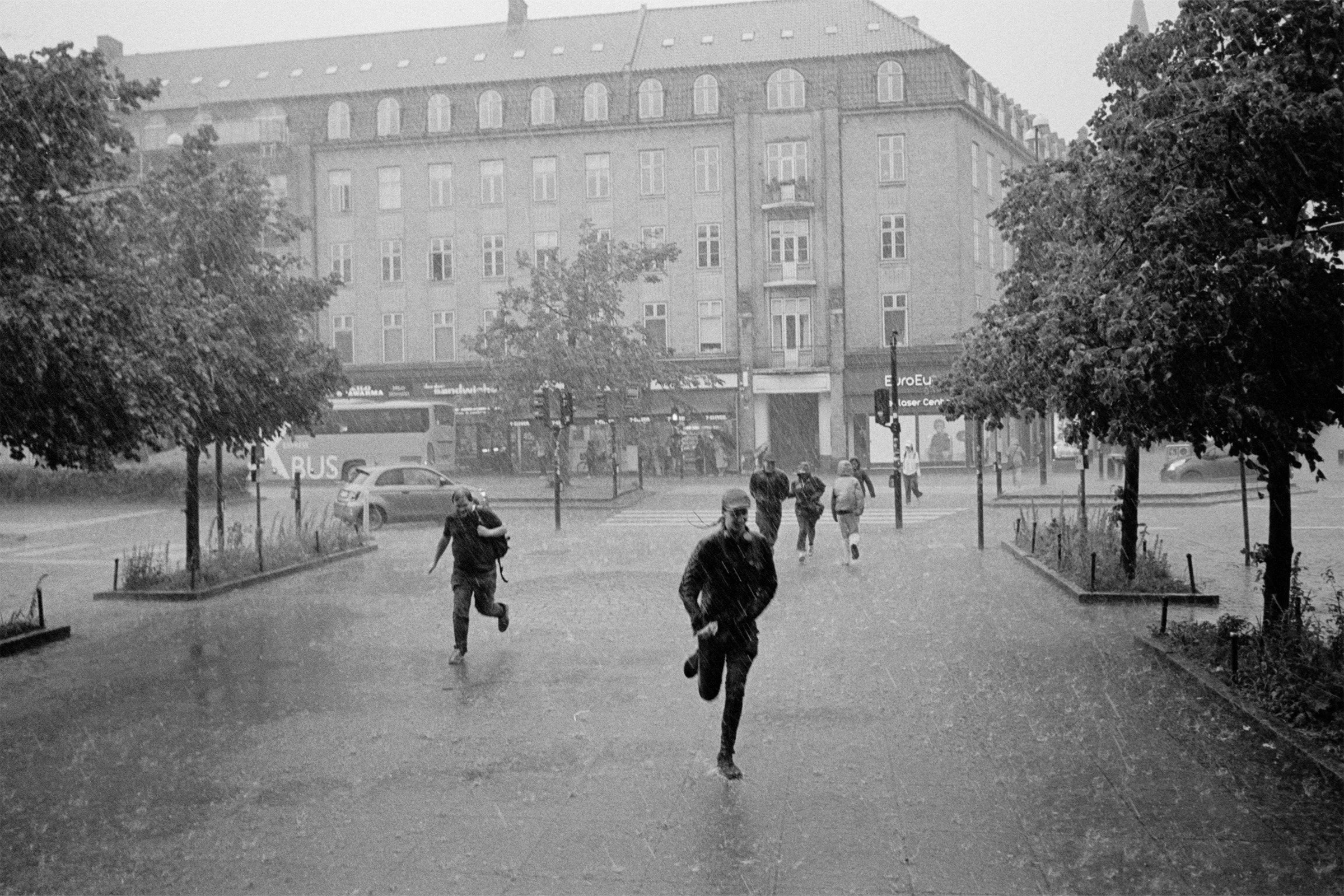 bw88.jpg