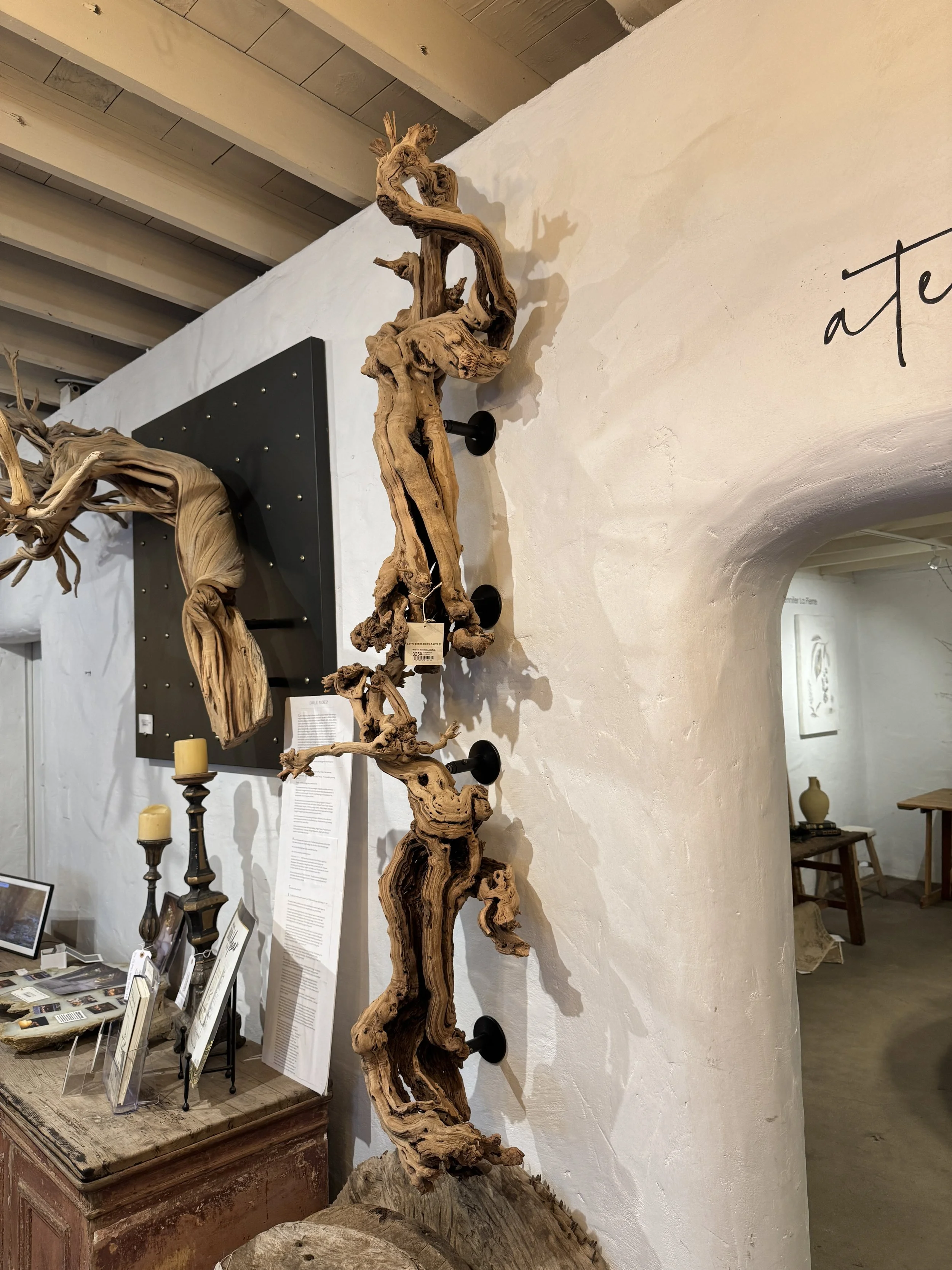 Sculptural branches attached to the wall inside a store.