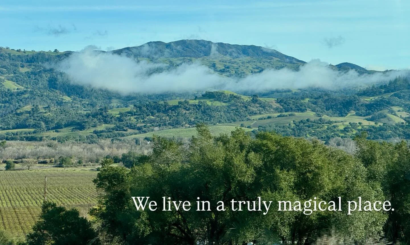 Besides hiking the morning drives through #Sonoma county are our favorite way to take in these landscapes ❤️