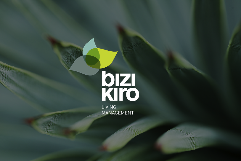 2012-Bizkiro-Logo.png