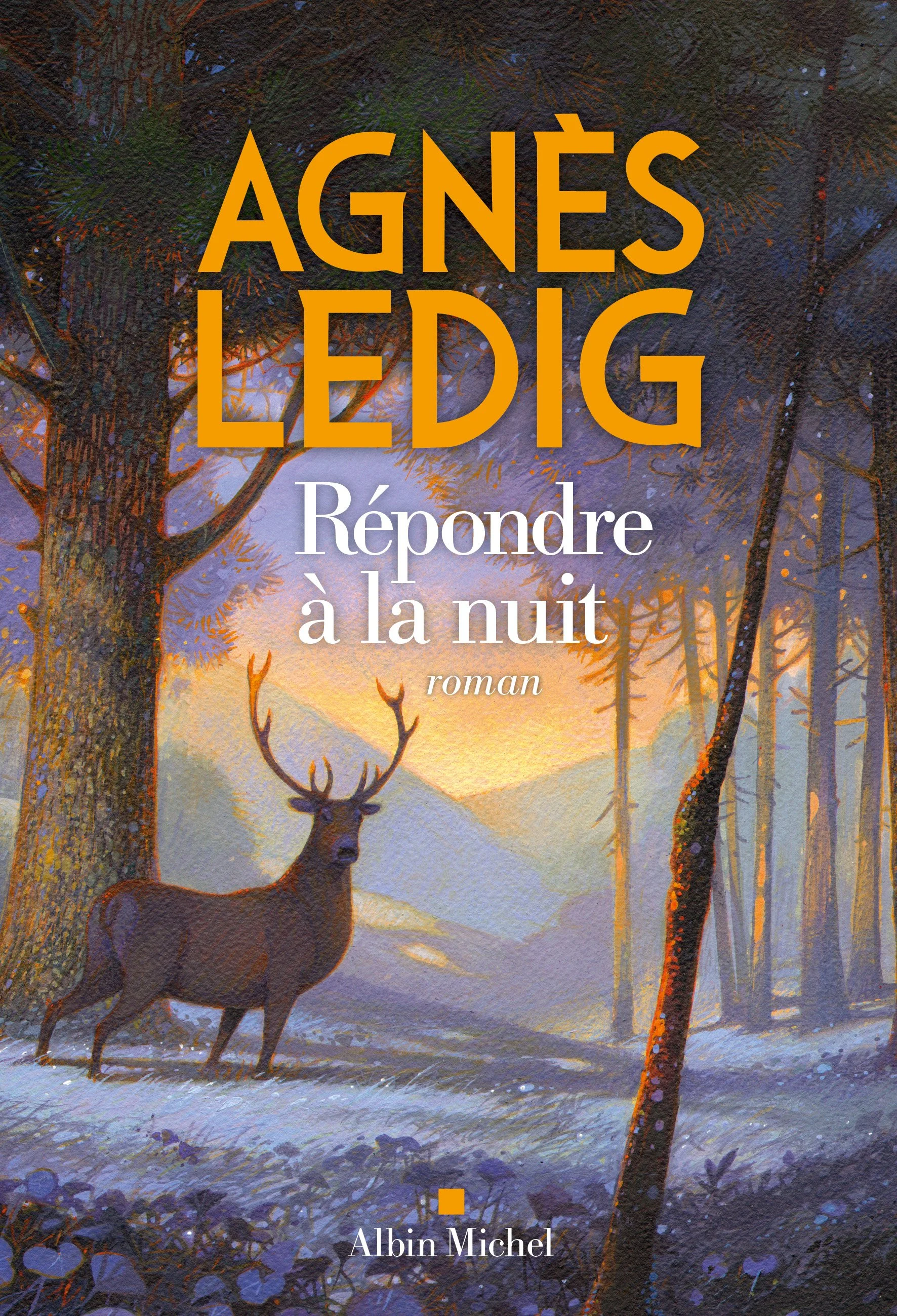 LEDIG_Agnès_couv..jpg