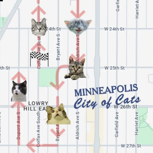 Wedge Cat Tour