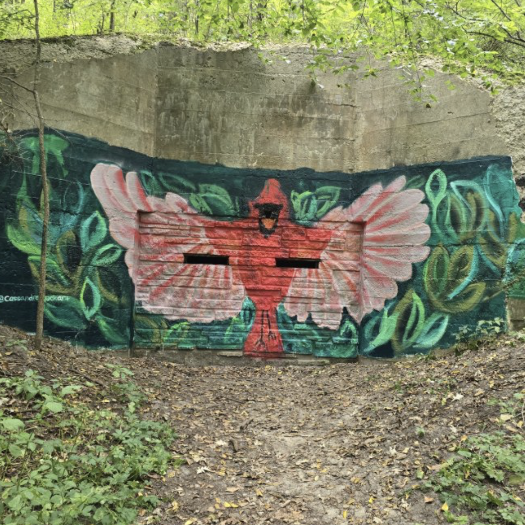 Visit a MNPAIR Community Art Project