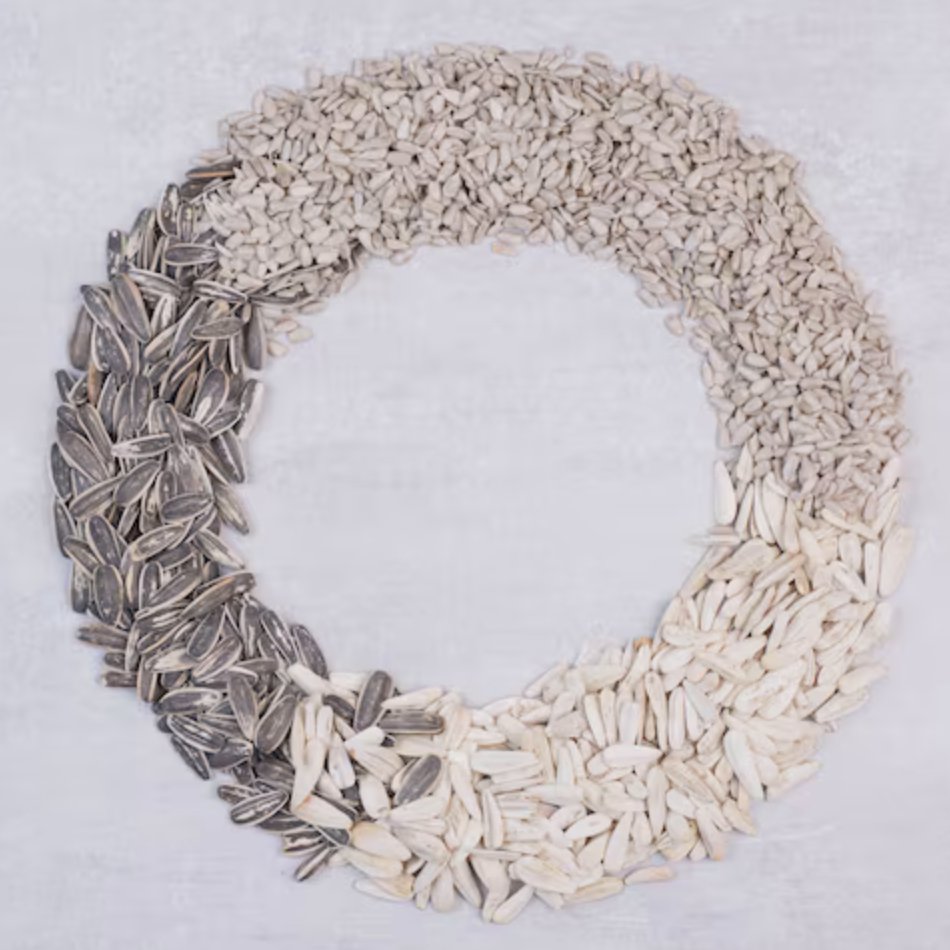 Community Seed Circle