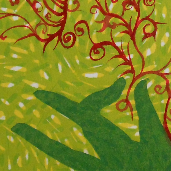 The Portfolio’s Purpose