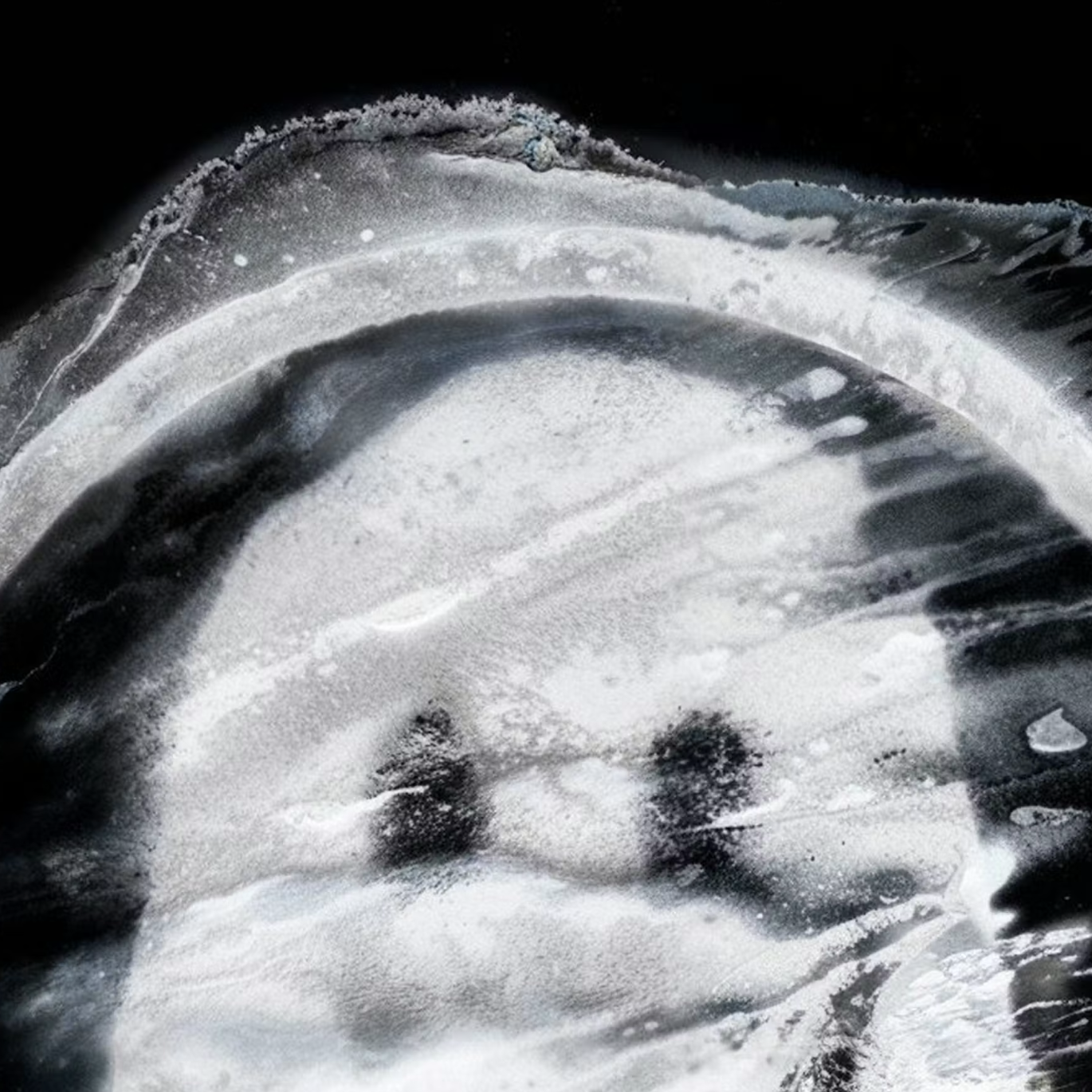 Insights 2026: Michael Cina