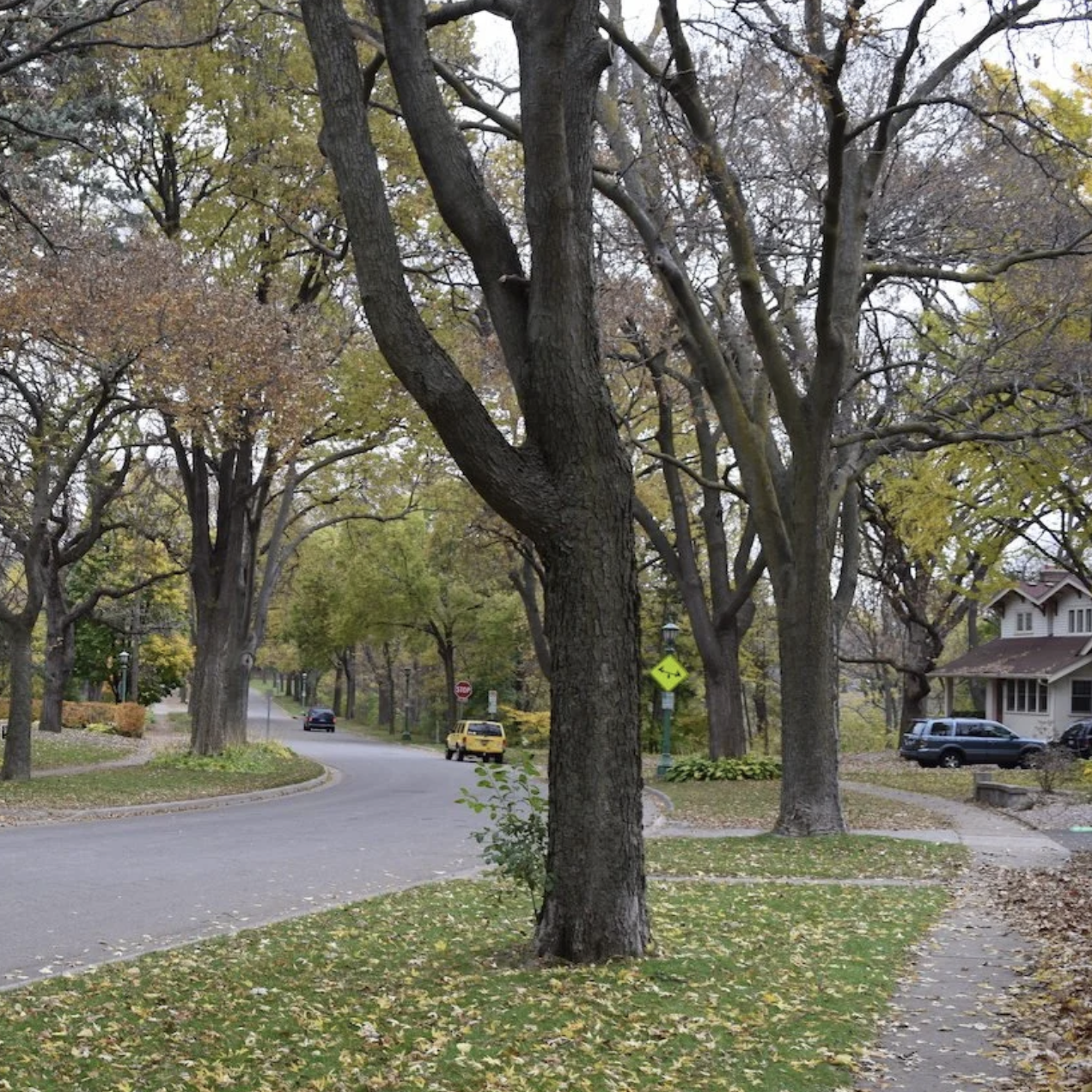 Garden Suburbs of the Twin Cities