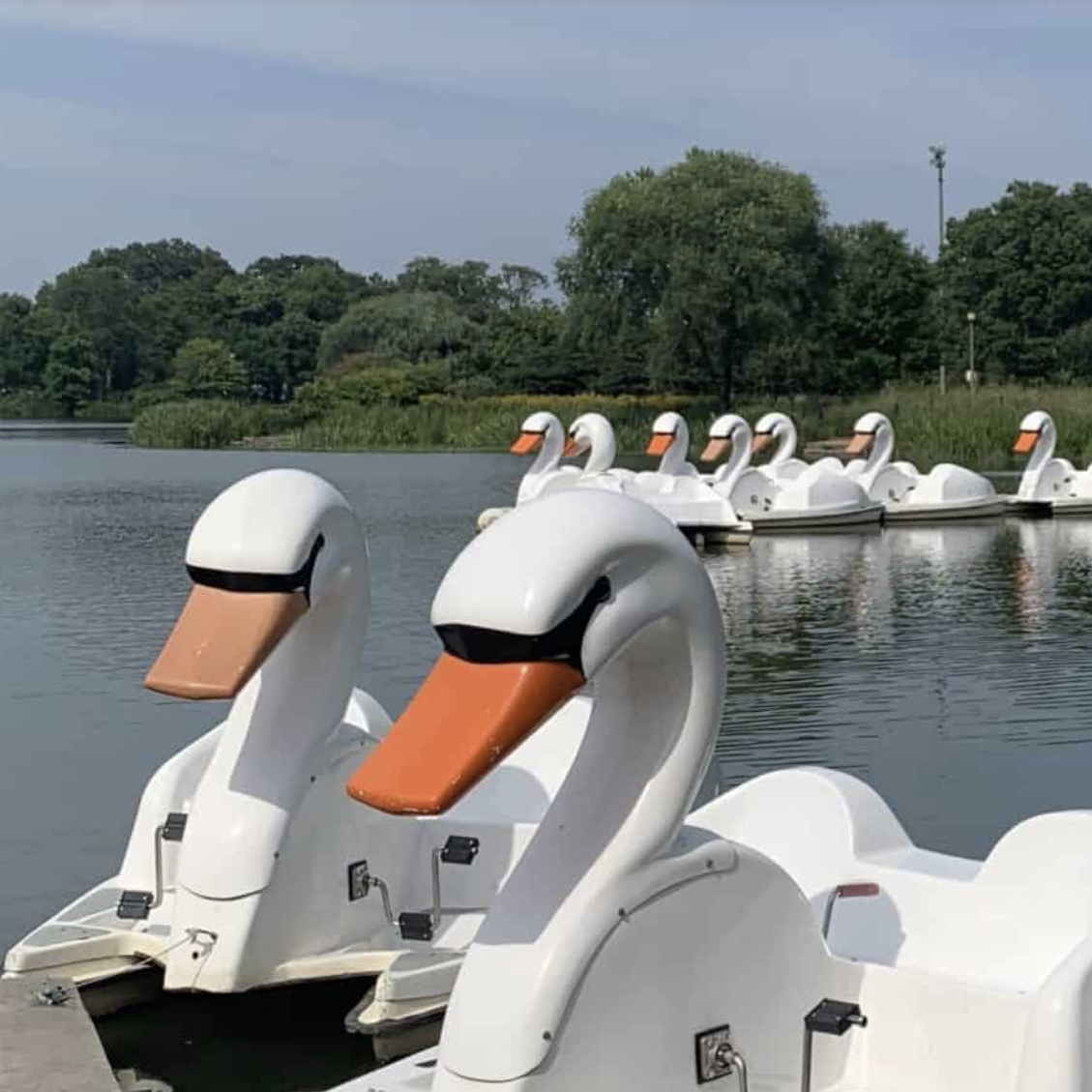 Ride Lake Como Swan BoatS