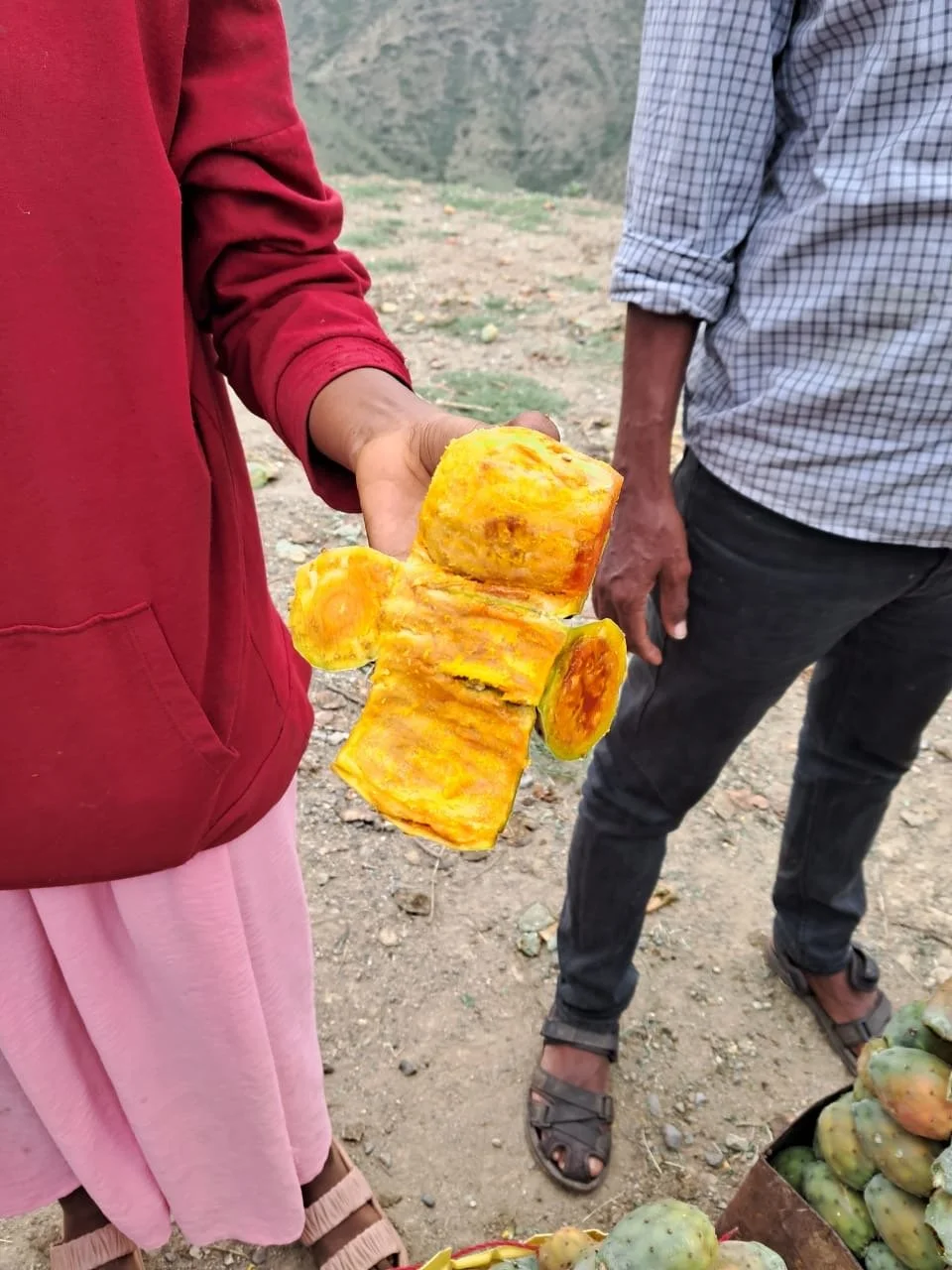 Peeled up Beles-Barentu Tours.JPG