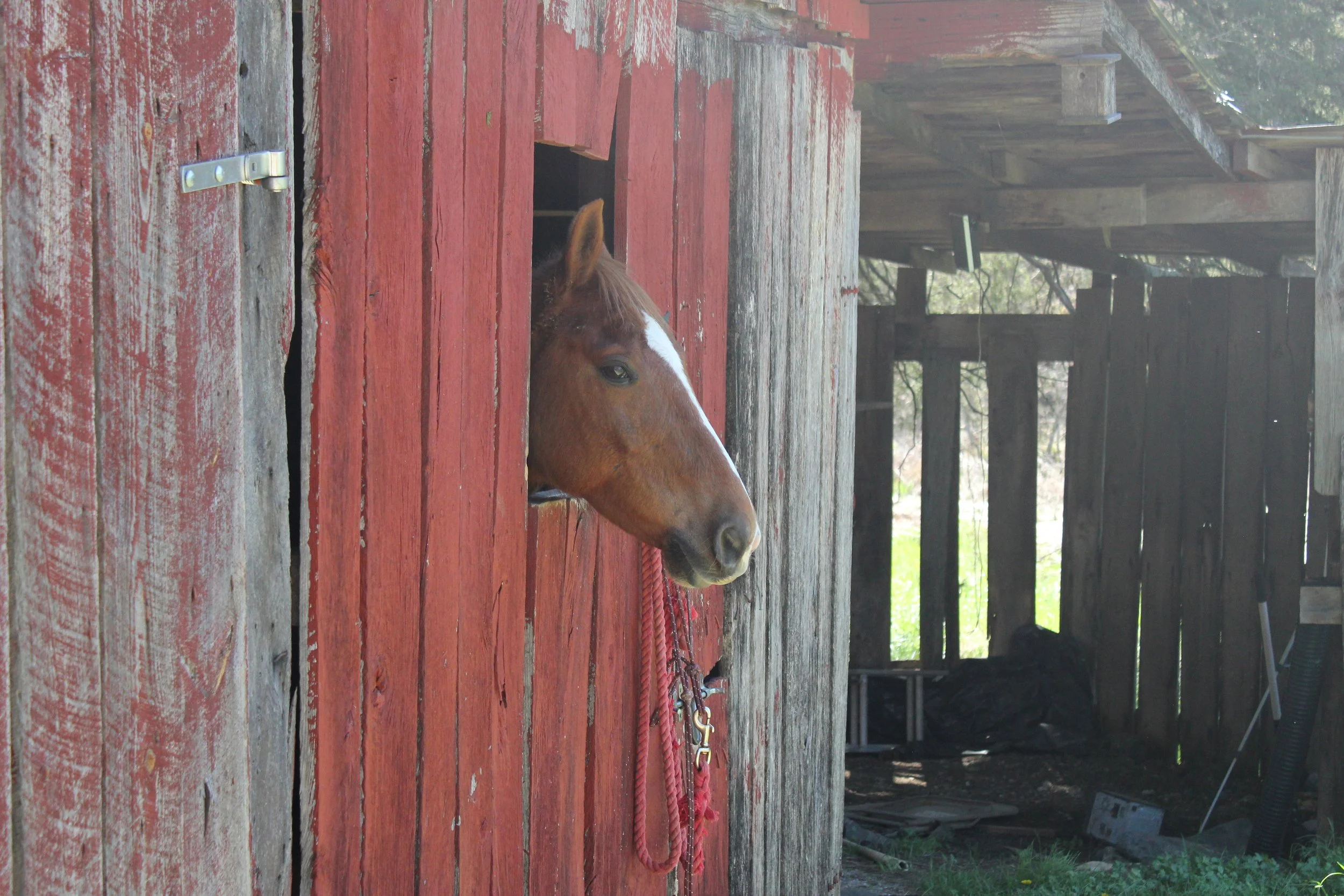 IMG_4412.JPG