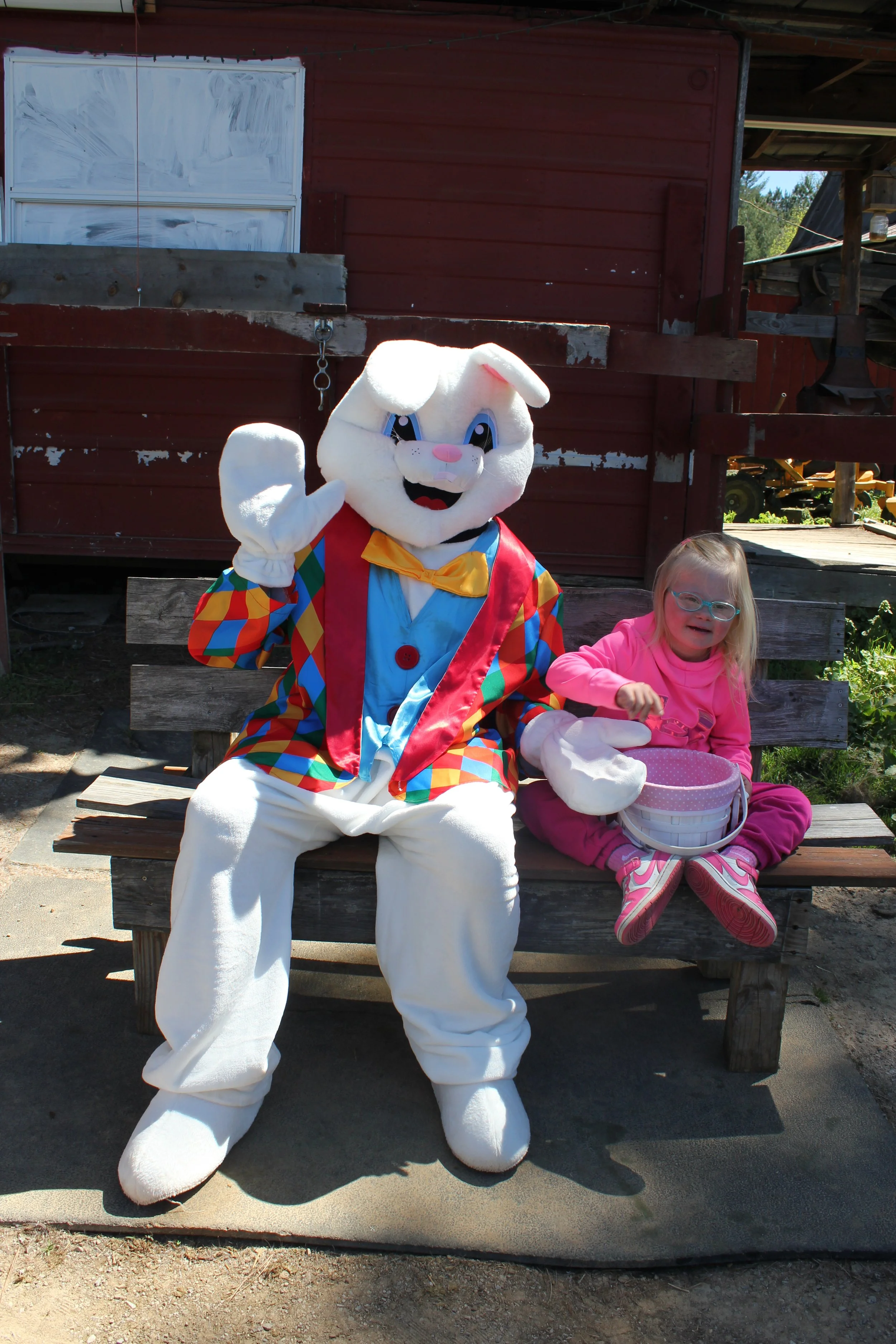 IMG_4369.JPG