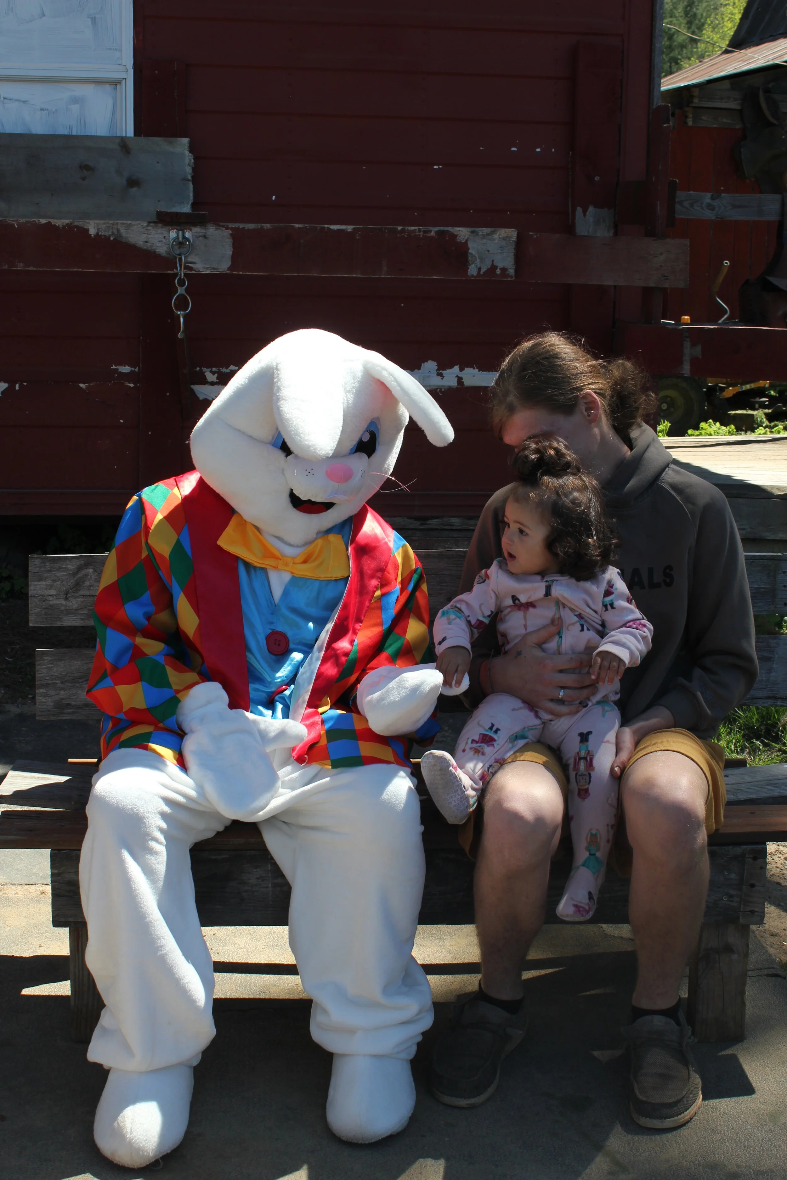 IMG_4356.JPG