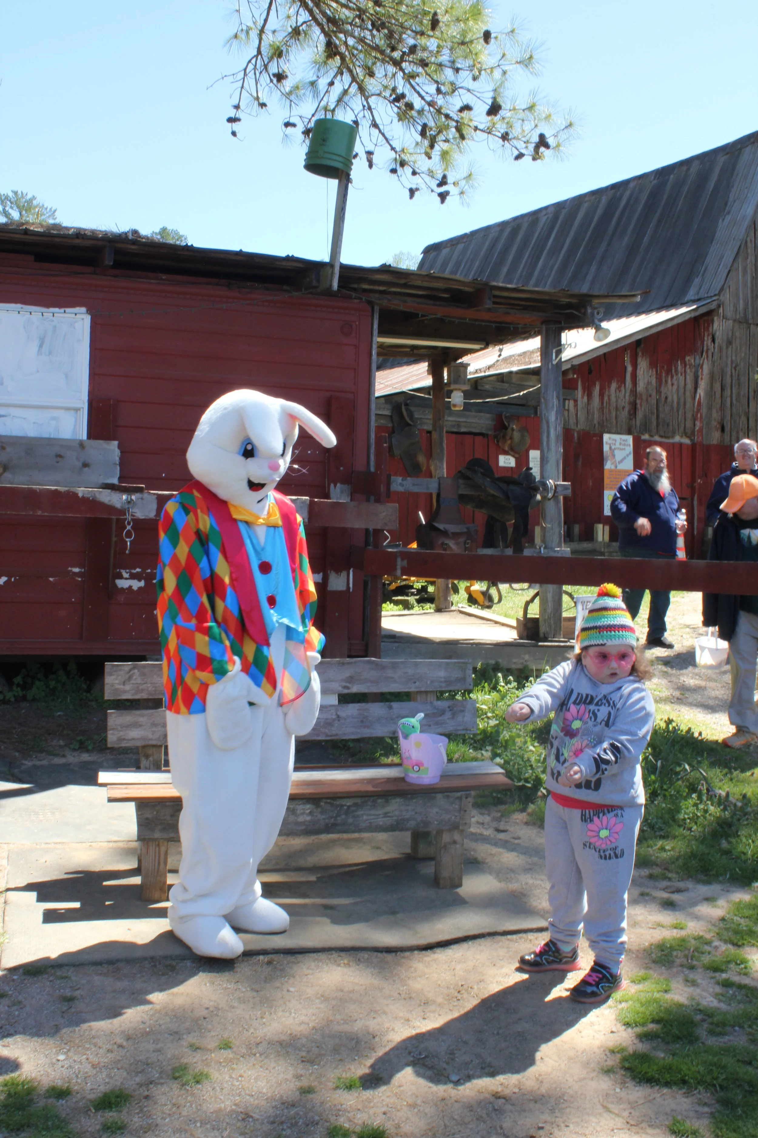 IMG_4402.JPG