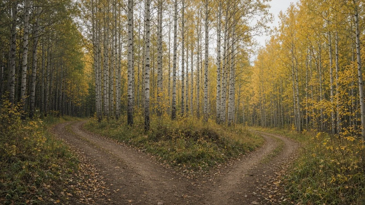 Is It Really Treatment-Resistant Depression? 7 Things to Rule Out First