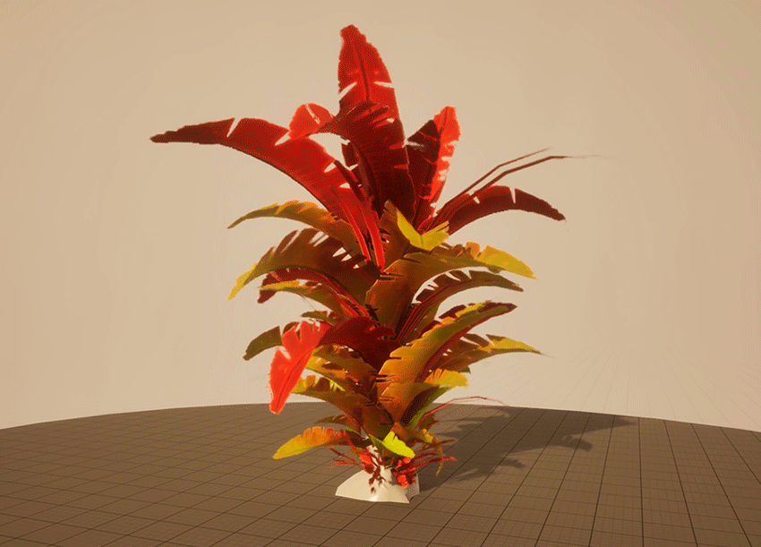 2.gif