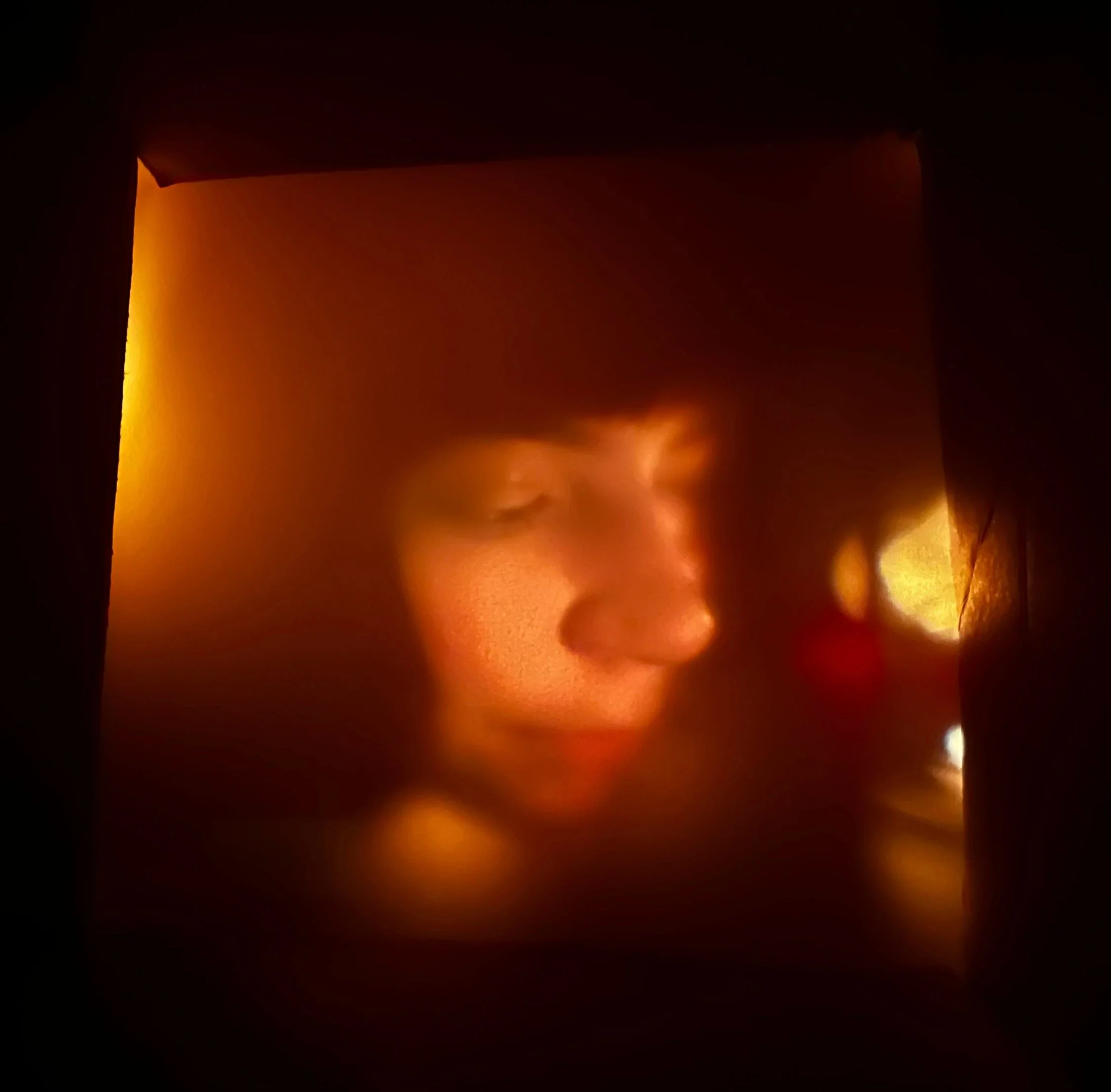 Camera Obscura Self Portrait.jpg