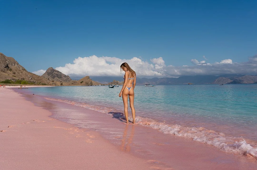 Pink-08100.jpg