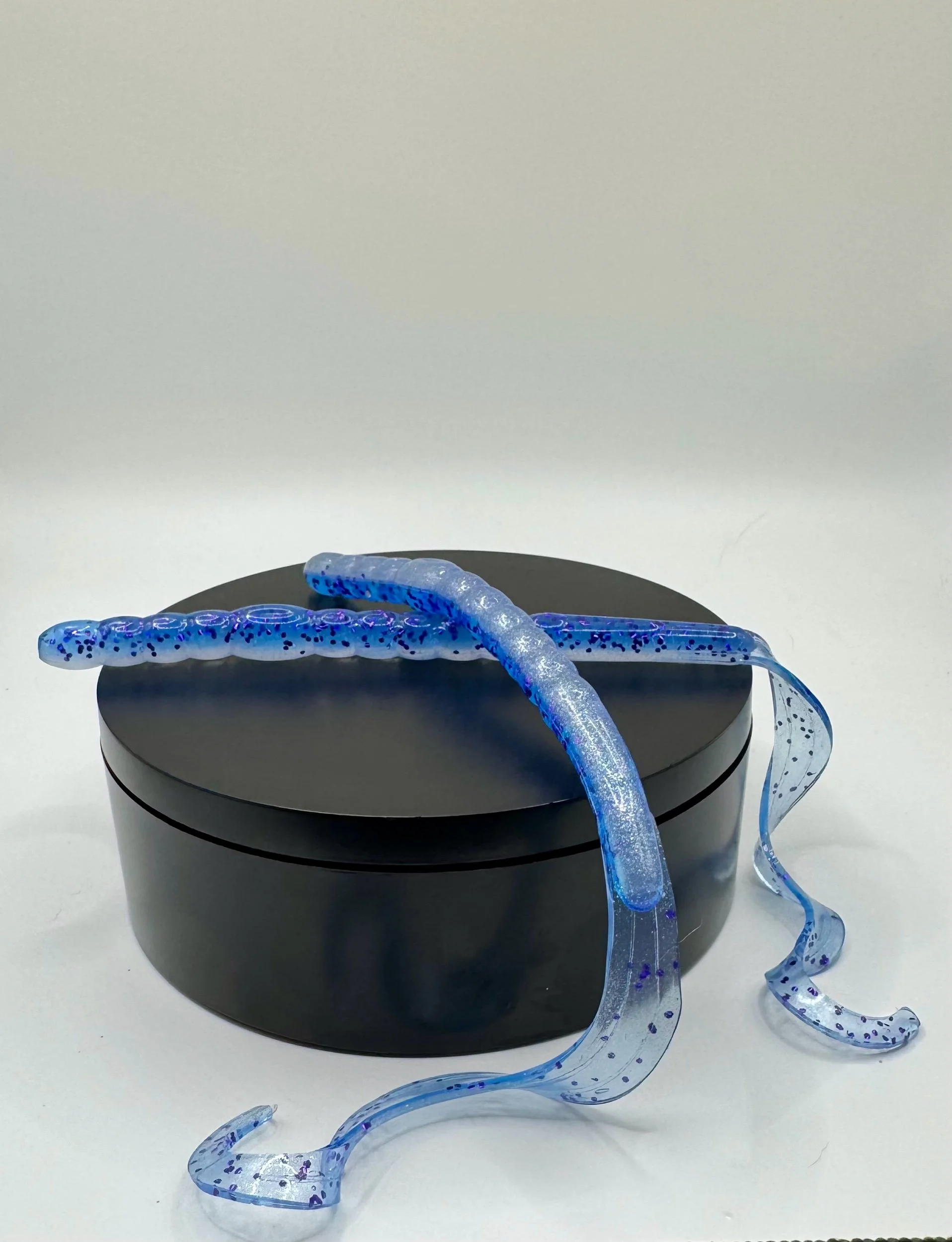 10 inch ribbon tail worm (8 pack)