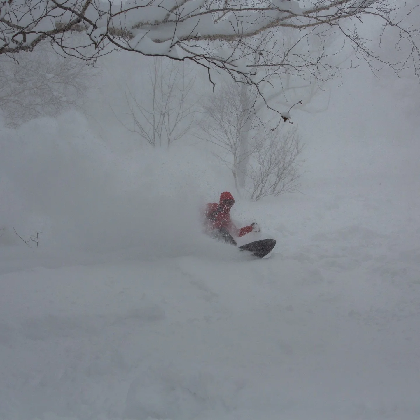 Registration opens live 1/15/2026 @mtbachelor at 12pm

New categories:

Ho&rsquo;omau-Adaptive
Groms - boys girls under 10
Keiki Girls 11-16