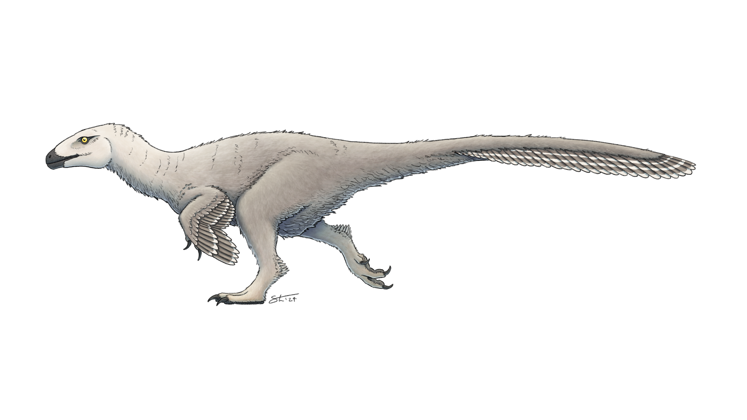 Imperobator, based on the design from Prehistoric Planet. Commission for a private client.