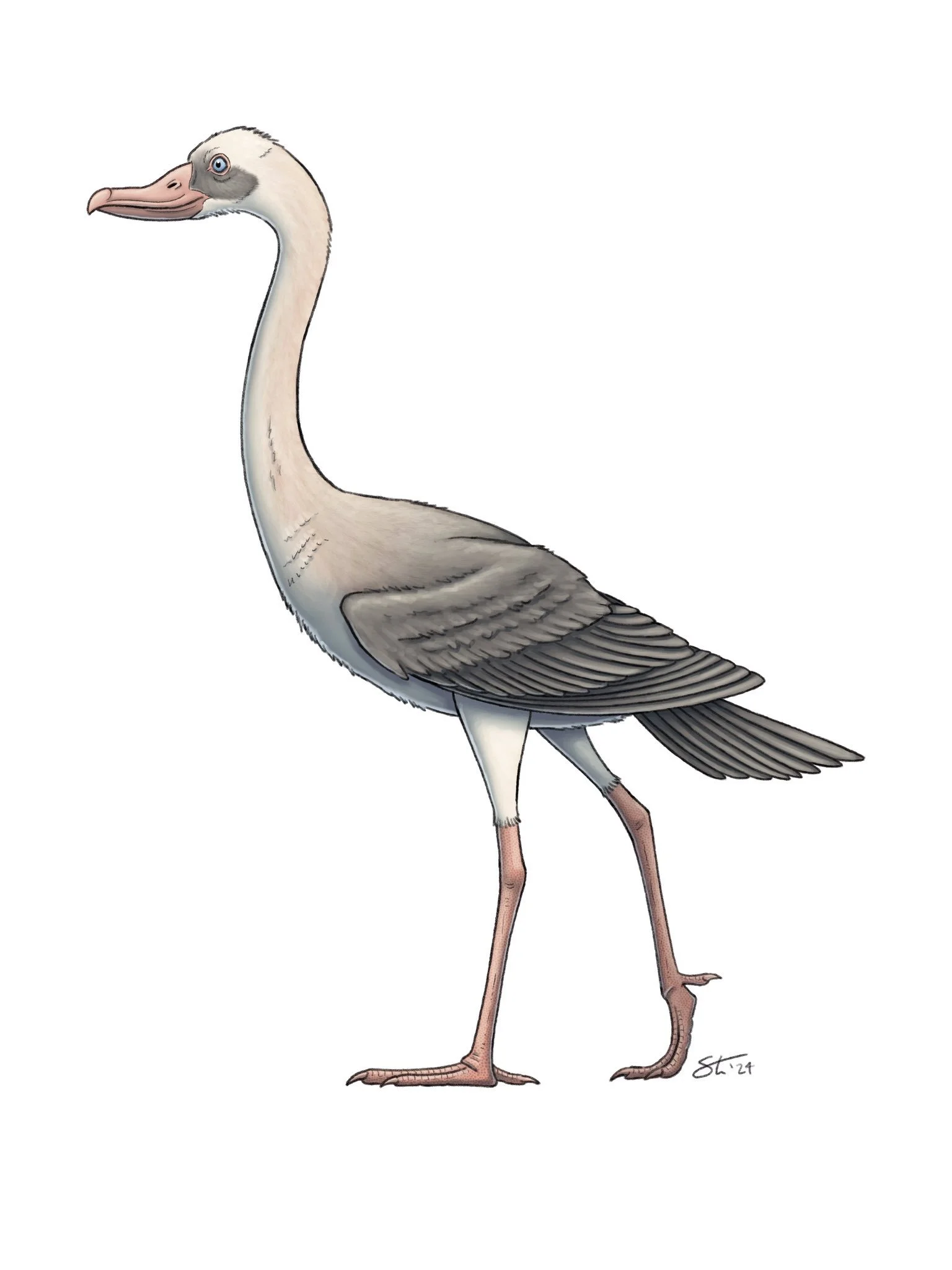 "Styginetta," based on the design from Prehistoric Planet. Commission for a private client.