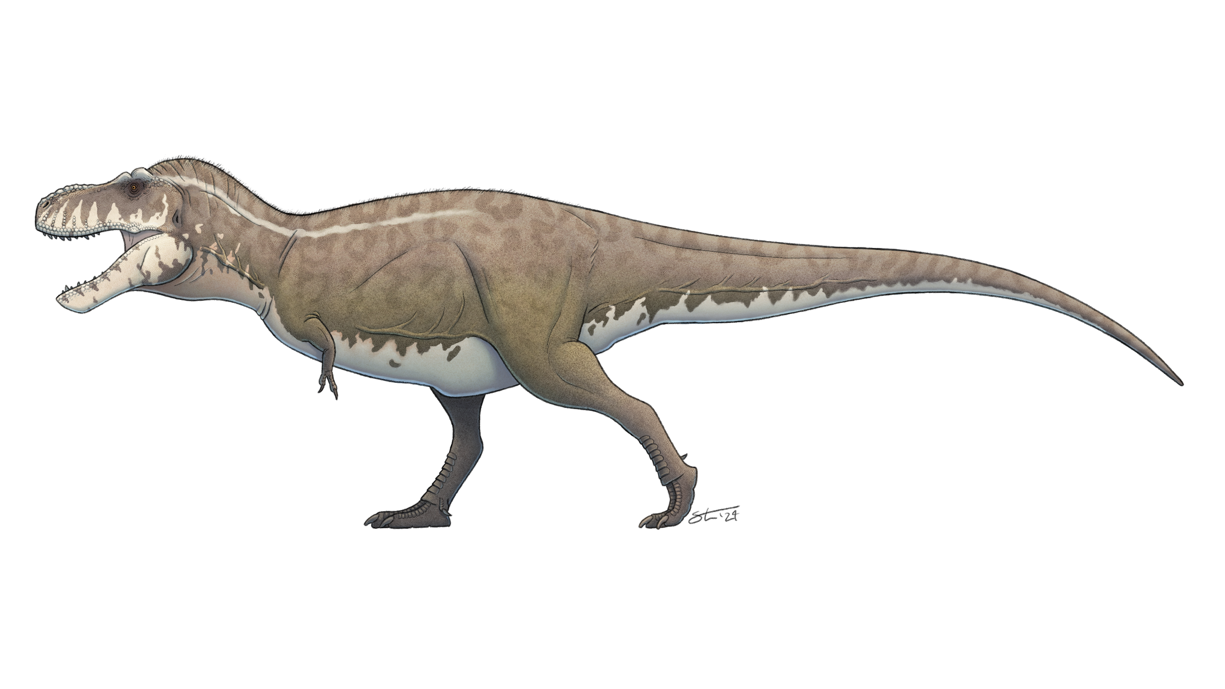 T. rex, based on the design from Prehistoric Planet. Commission for a private client.
