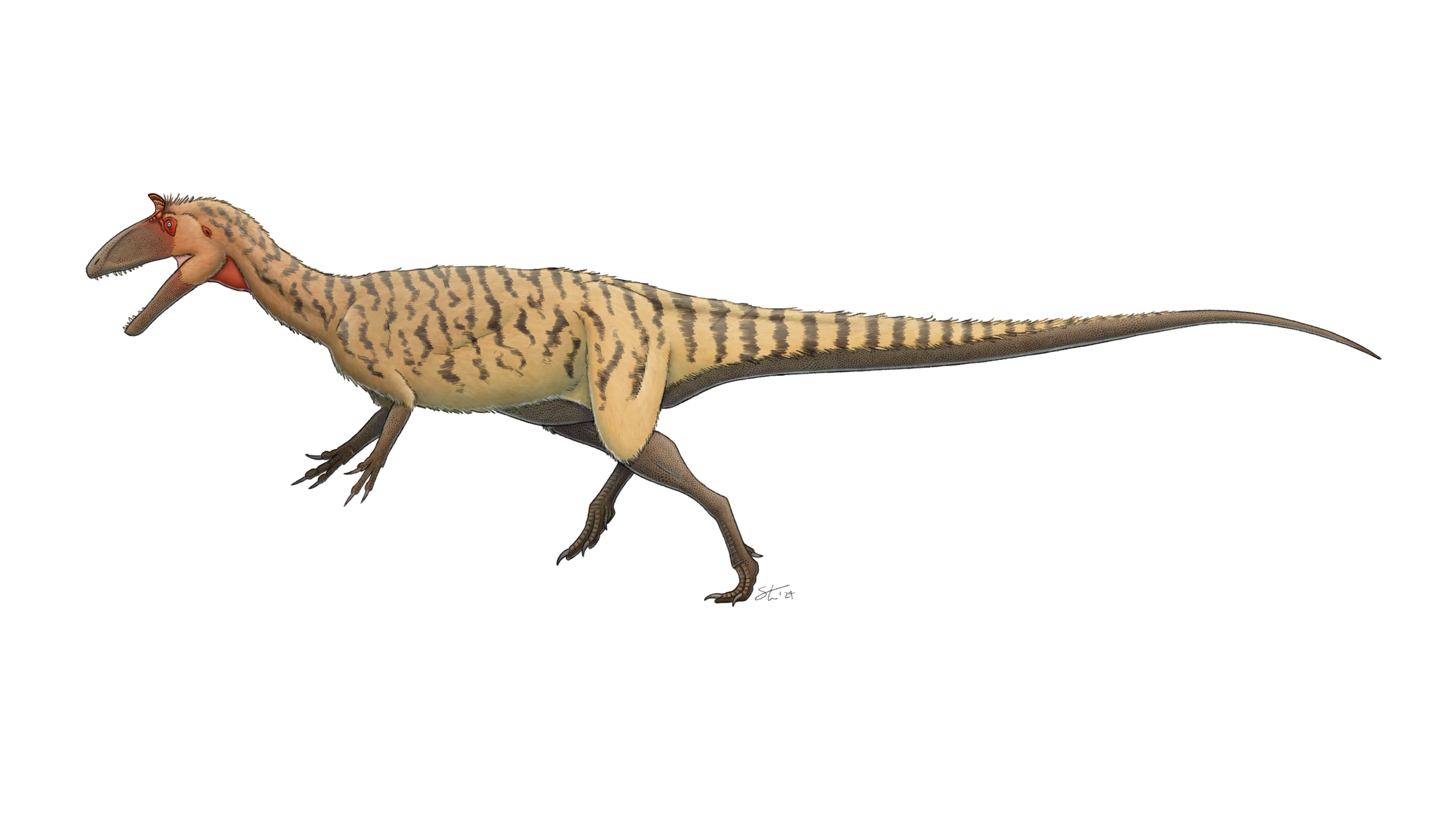 Cryolophosaurus, inspired by the design from Dinosaur Revolution and golden pheasants. Commission for a private client.