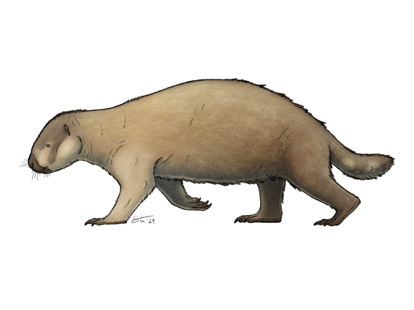 Adalatherium, based on the design from Prehistoric Planet. Commission for a private client.