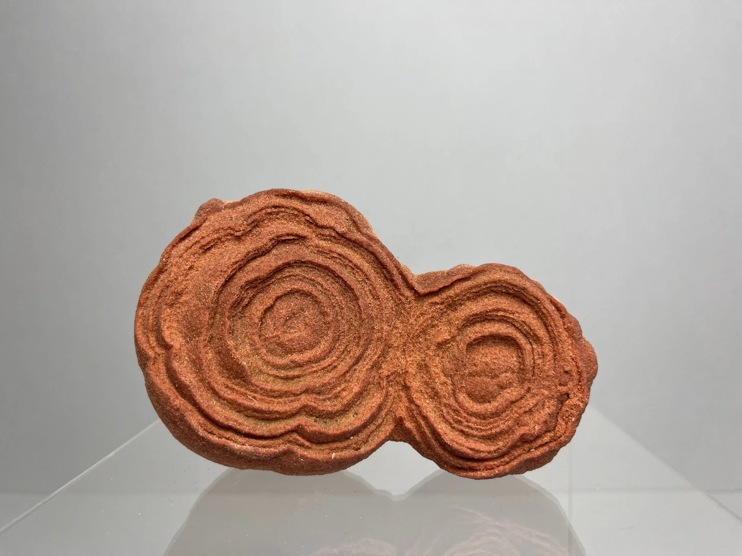 Moroccan Stromatolite Fossil Specimen, Ancient Algae Microbial Mat Display Stone