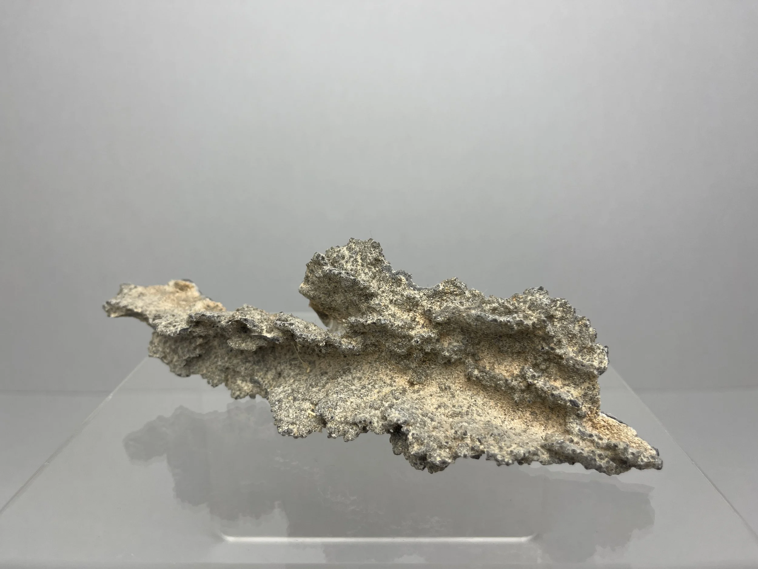 Rare 50g Large Fulgurite Specimen, Real Petrified Lightning Glass Tube, Genuine Sahara Desert Fused Silica, Manifestation Shamanic Rock