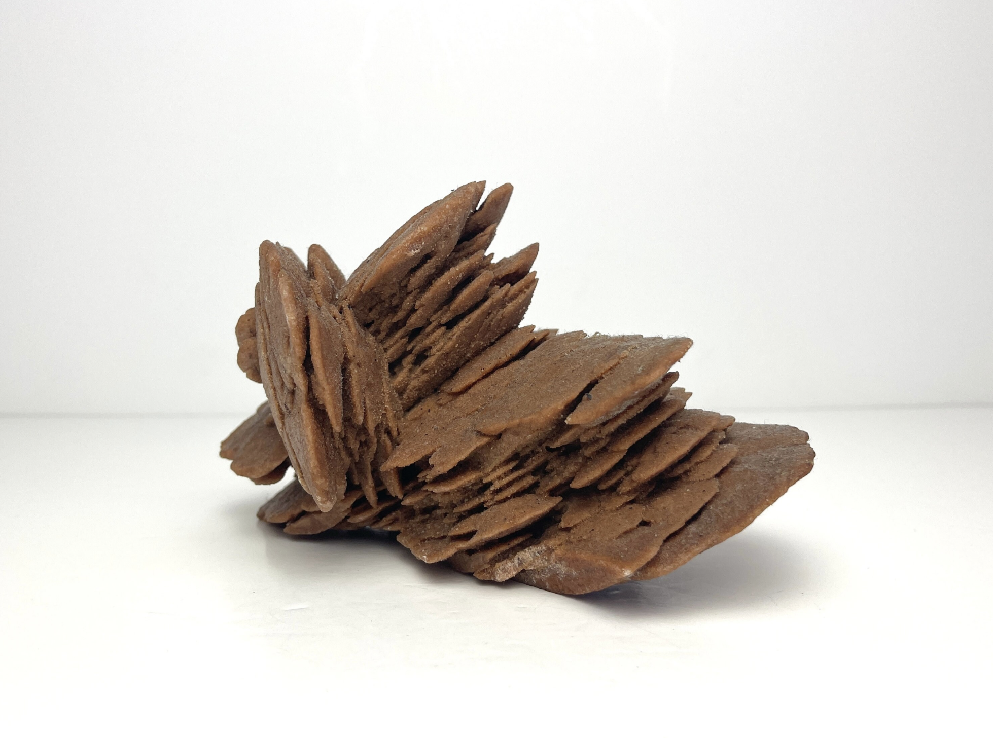 Desert rose Gypsum crystal cluster