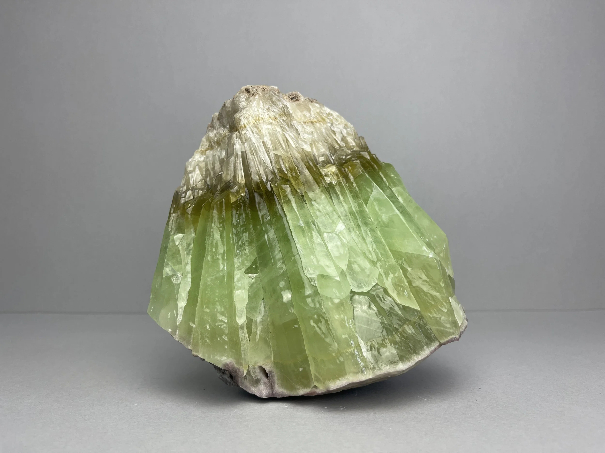 IMG_4397.JPG