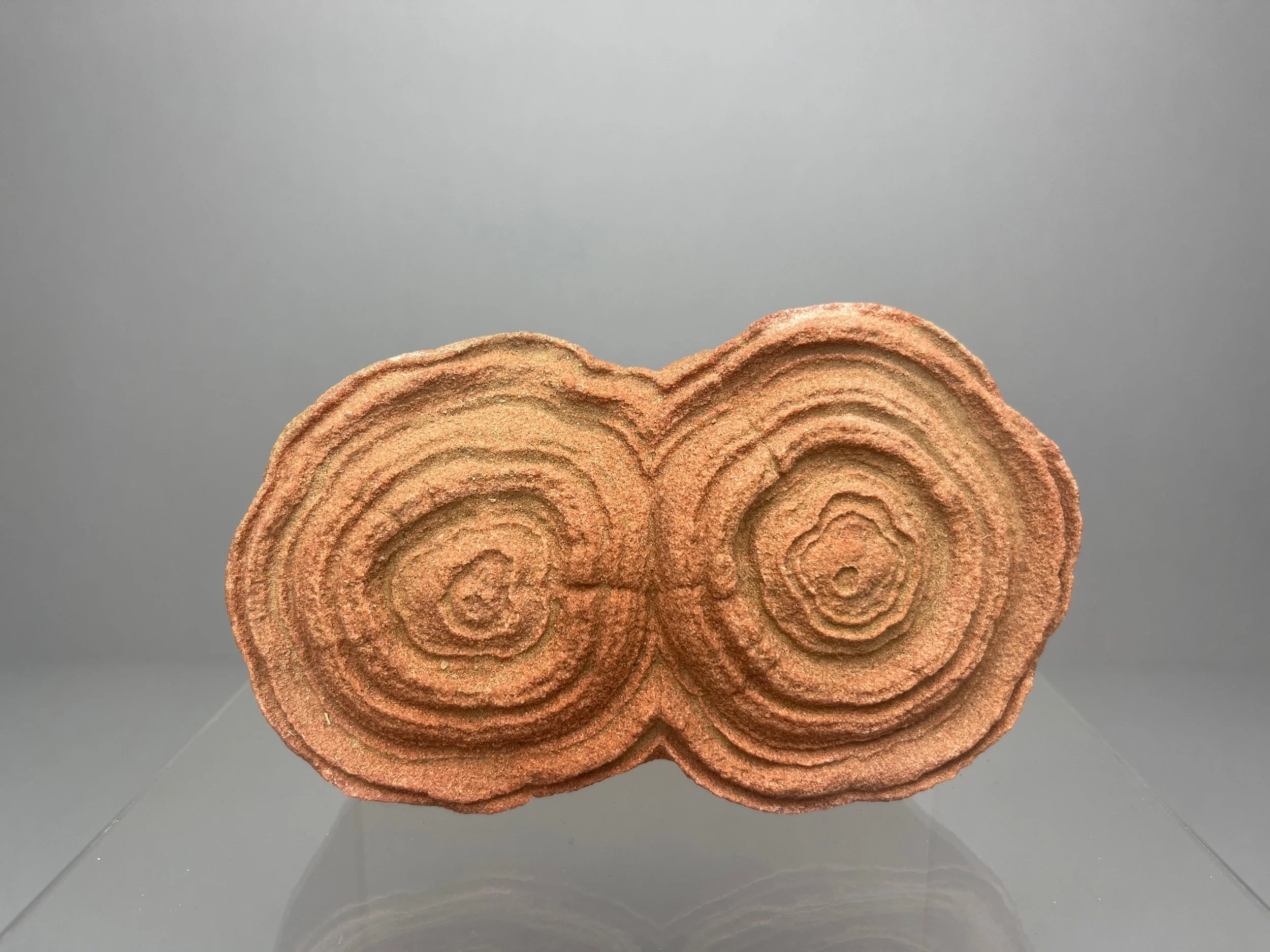 Moroccan Stromatolite Fossil Specimen, Ancient Algae Microbial Mat Display Stone