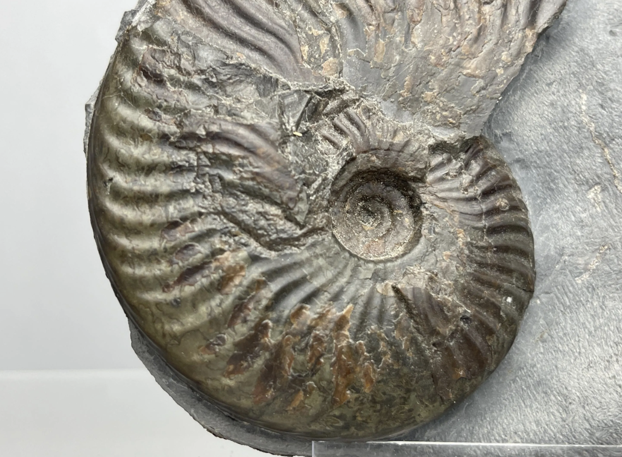 Screenshot 2025-11-16 at 19.28.06.png