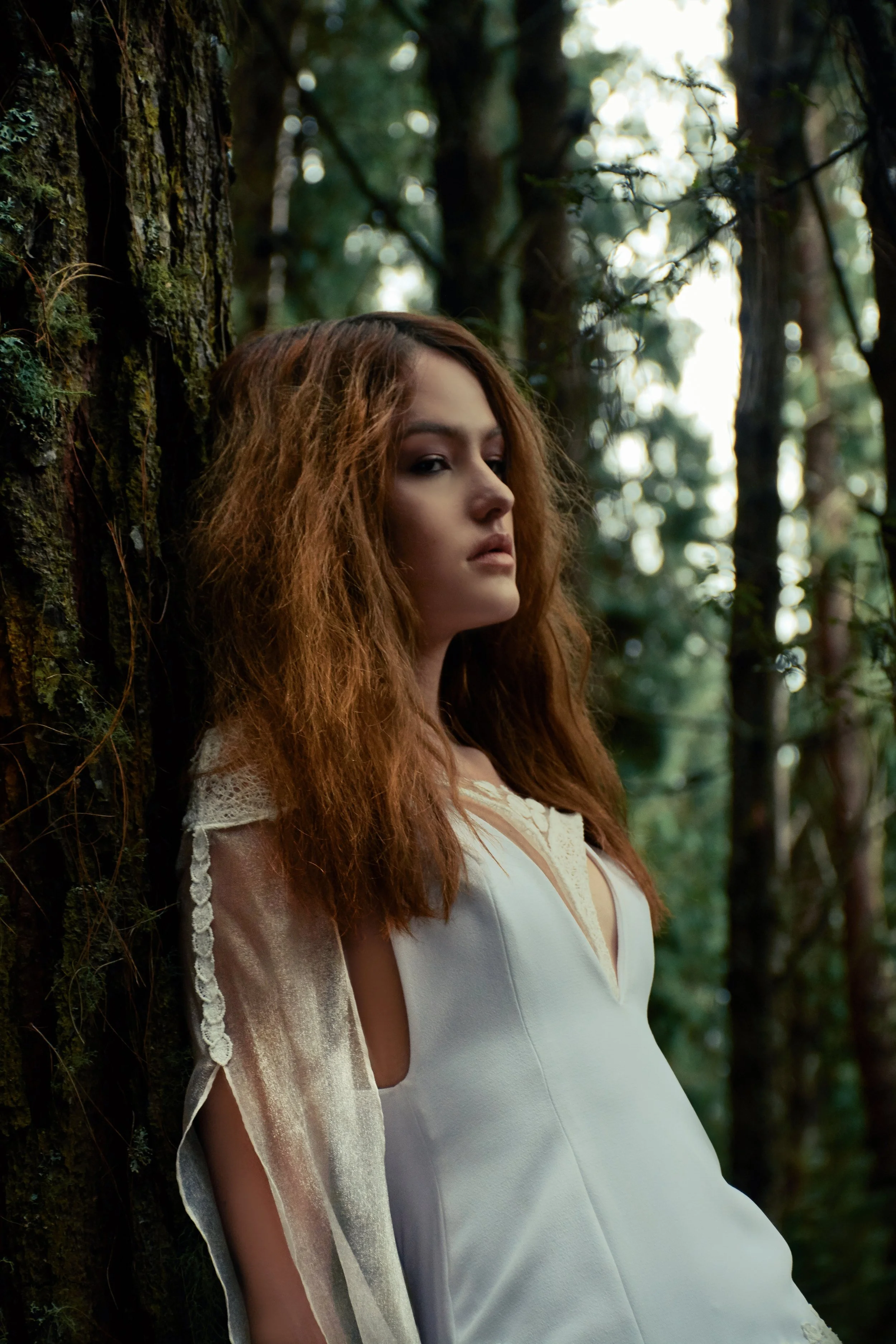 Naturaleza Invicta 34.jpg