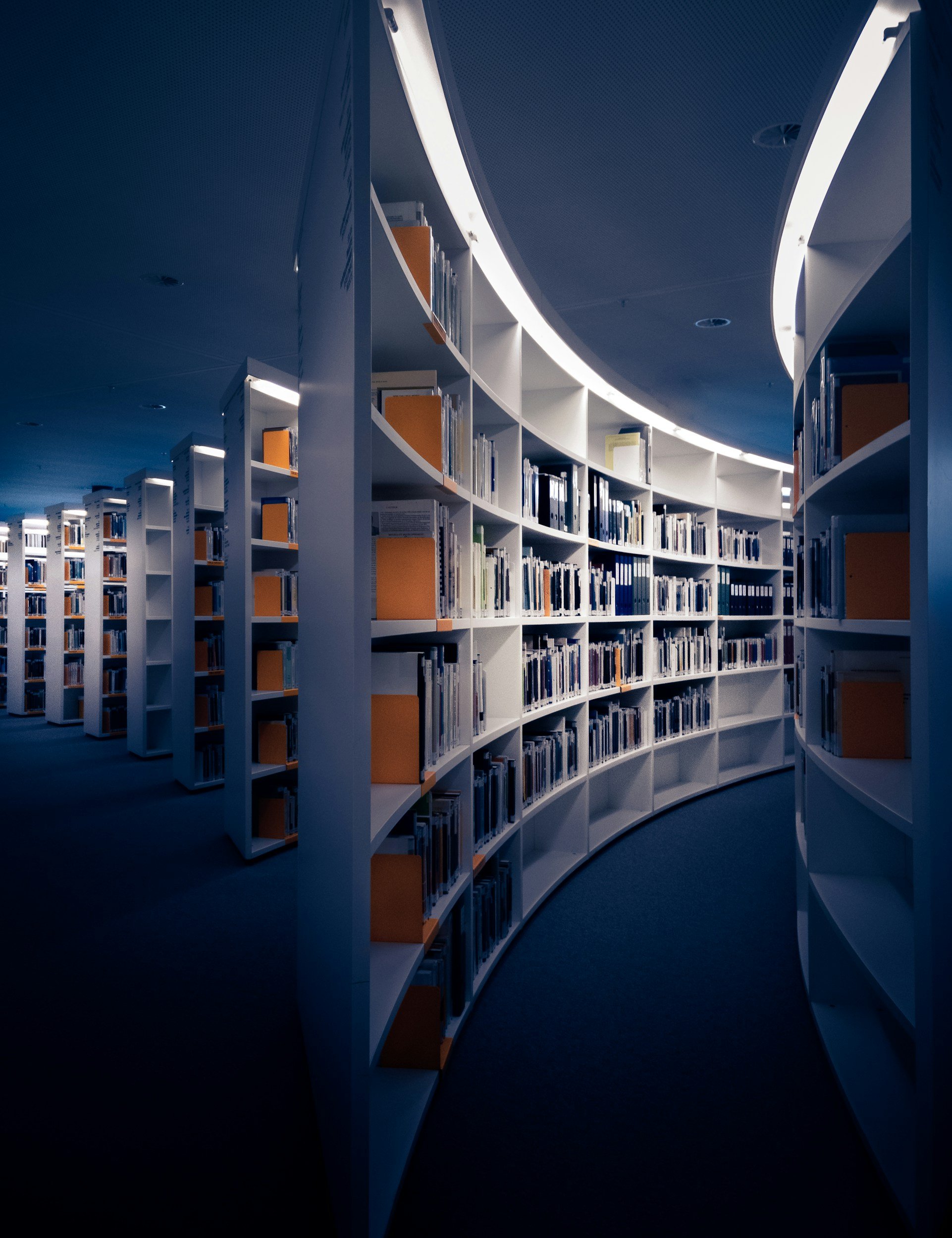 Interior of a modern library with curved white bookshelves filled with books, illuminated by overhead lighting in a dimly lit setting.