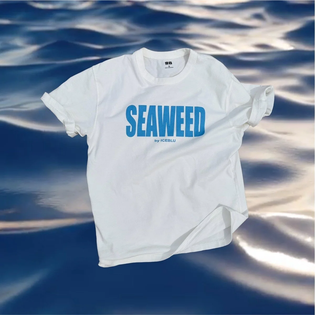 Seaweed t-shirt