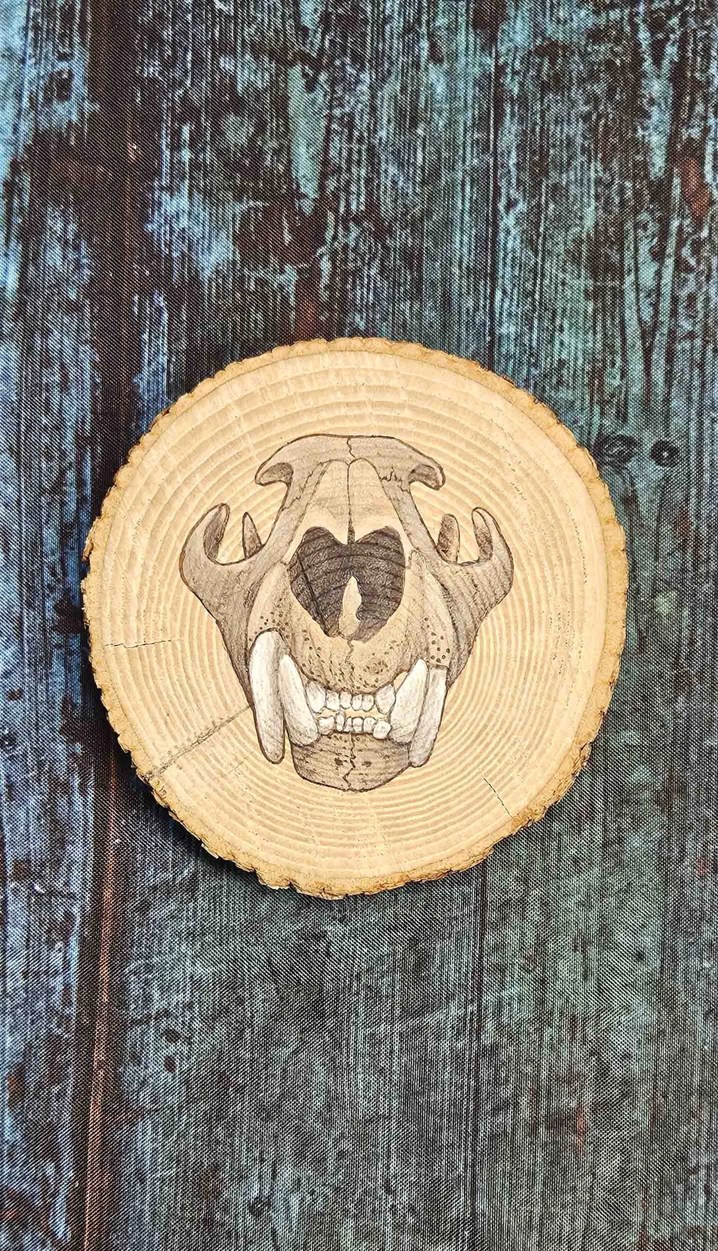 Natural Wood Slice with Cougar Skull